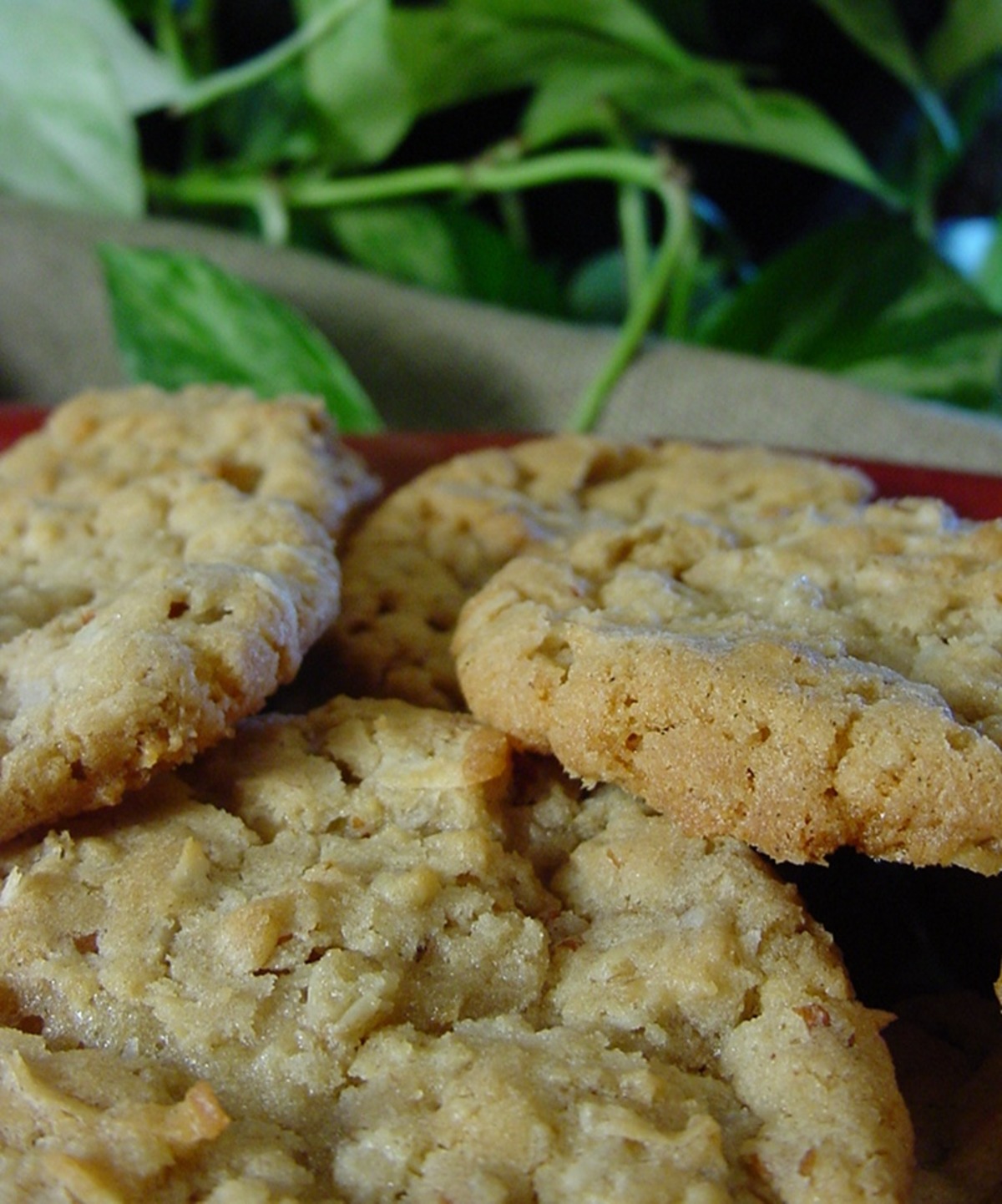 Shortbread cookies recipeCountry Cupboard Cookies recipes
