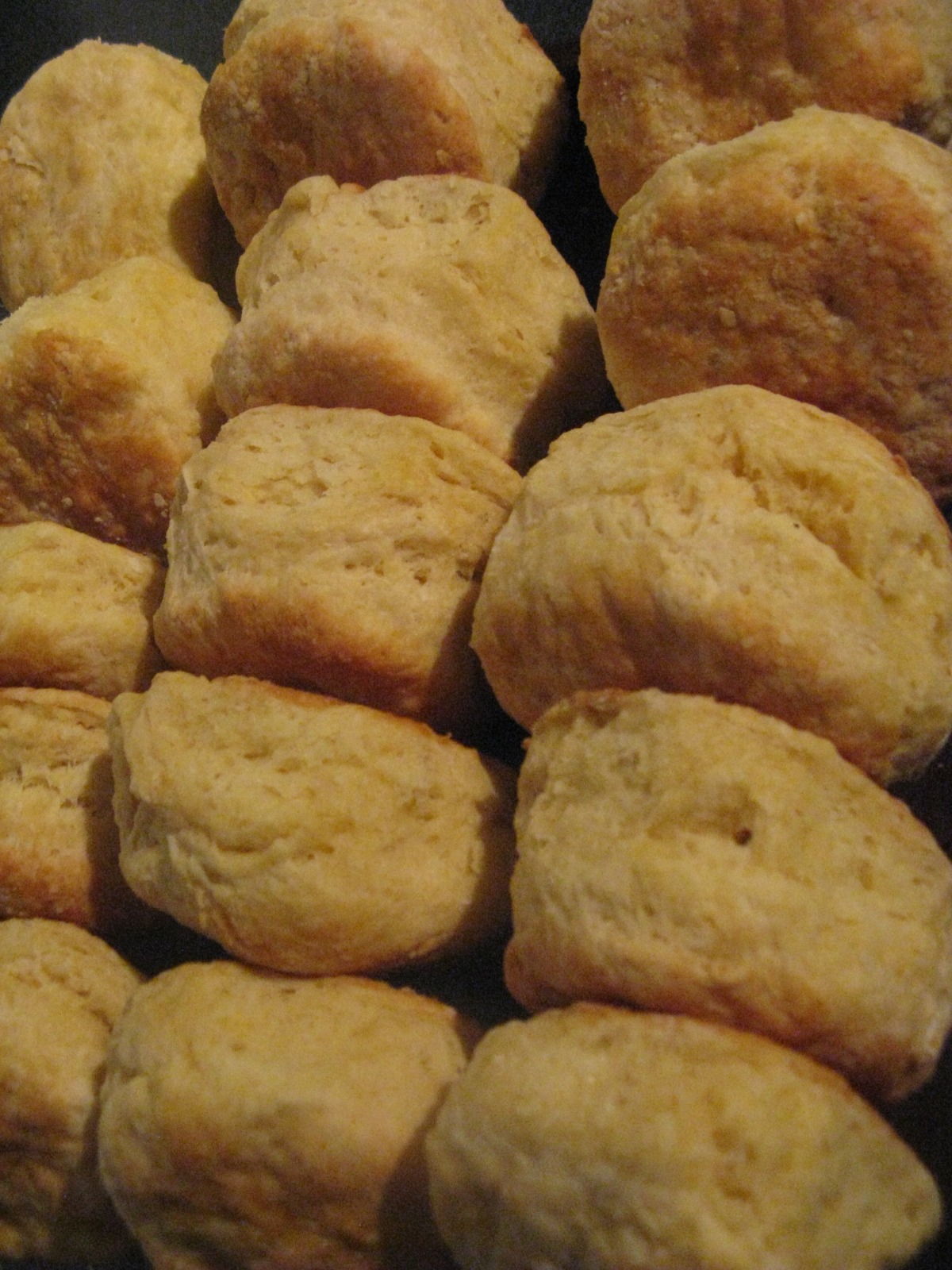 Baking Powder Biscuits