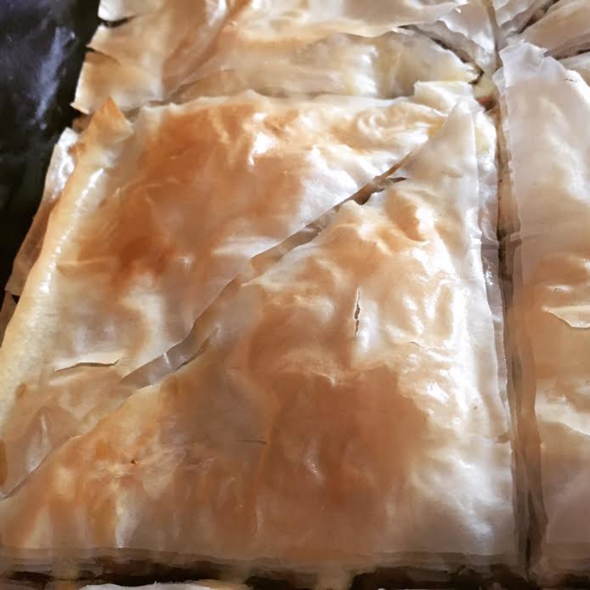 Meat Pie with Phyllo Dough