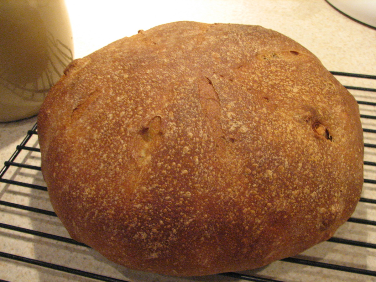 Country-style Walnut and Rosemary Bread image