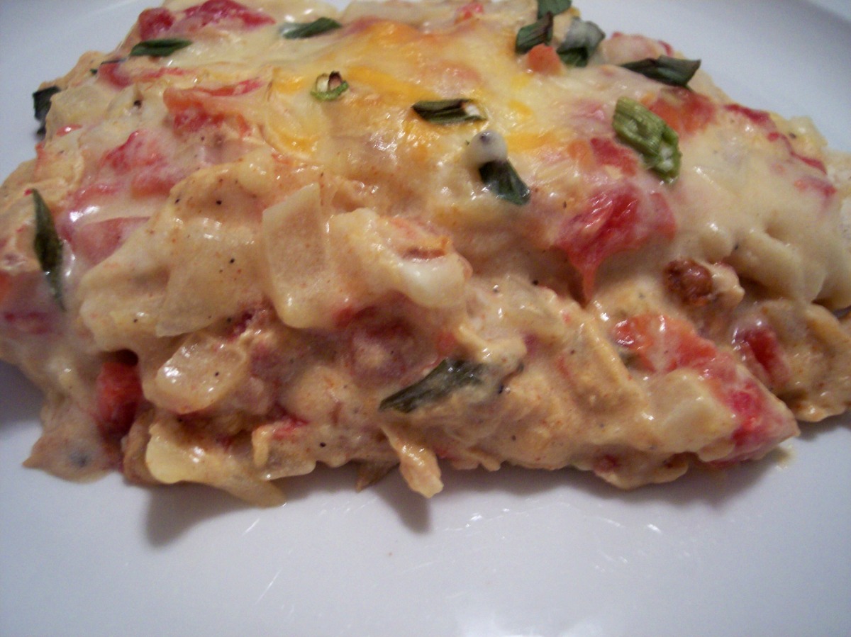 Best Sour Cream Enchiladas Recipes