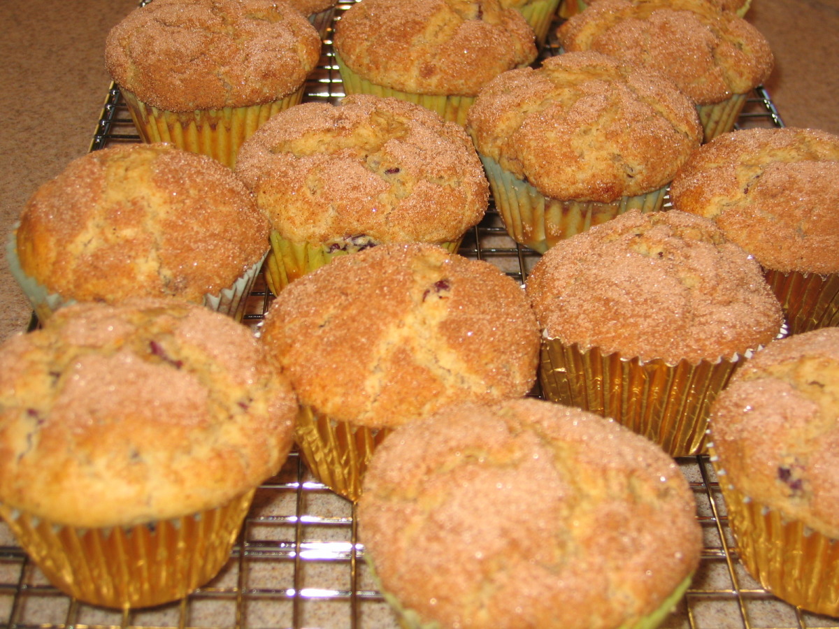 Easy Cinnamon Topped Raisin Bran Muffins