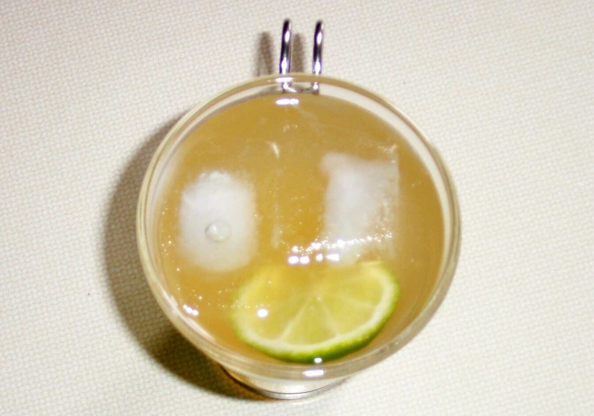 Citrus Soda image