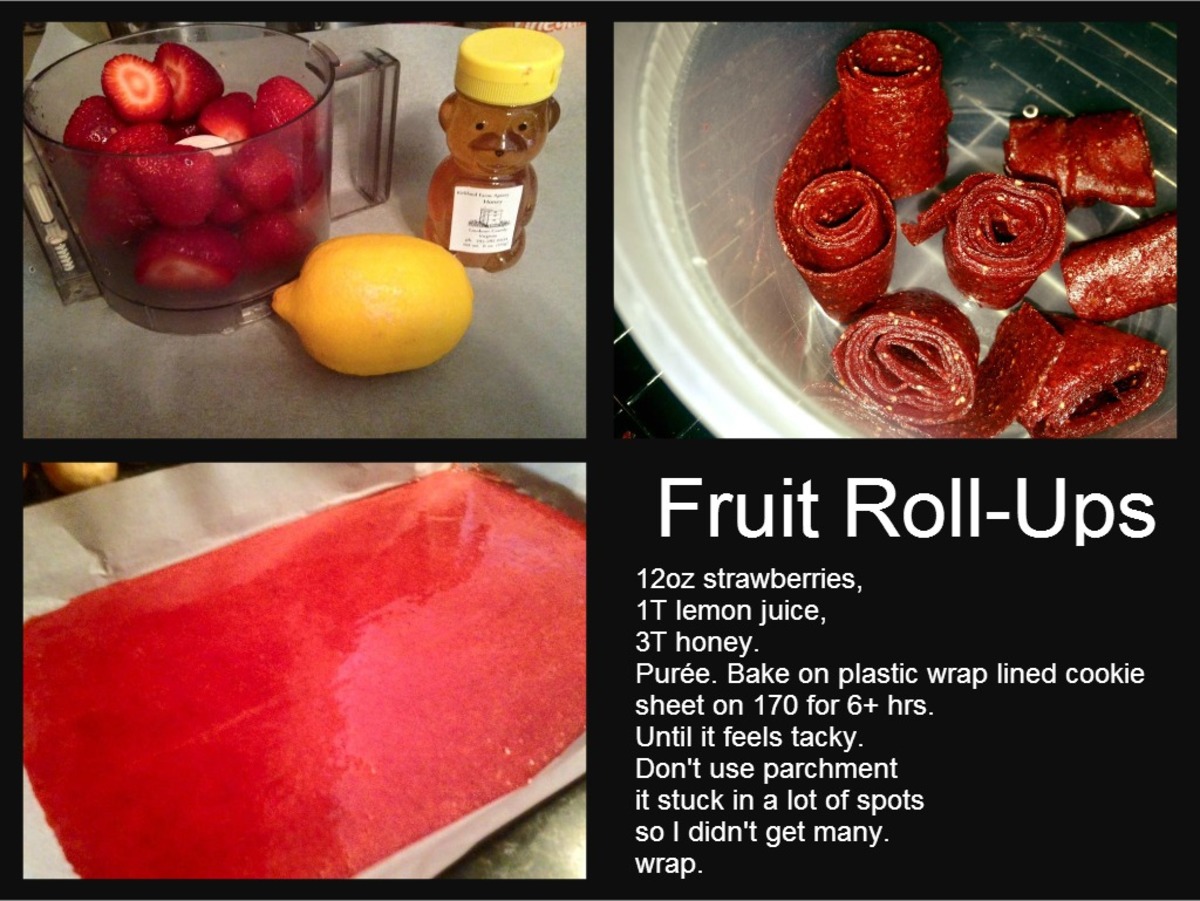 2 Ingredient Healthy Strawberry Roll Up Recipe