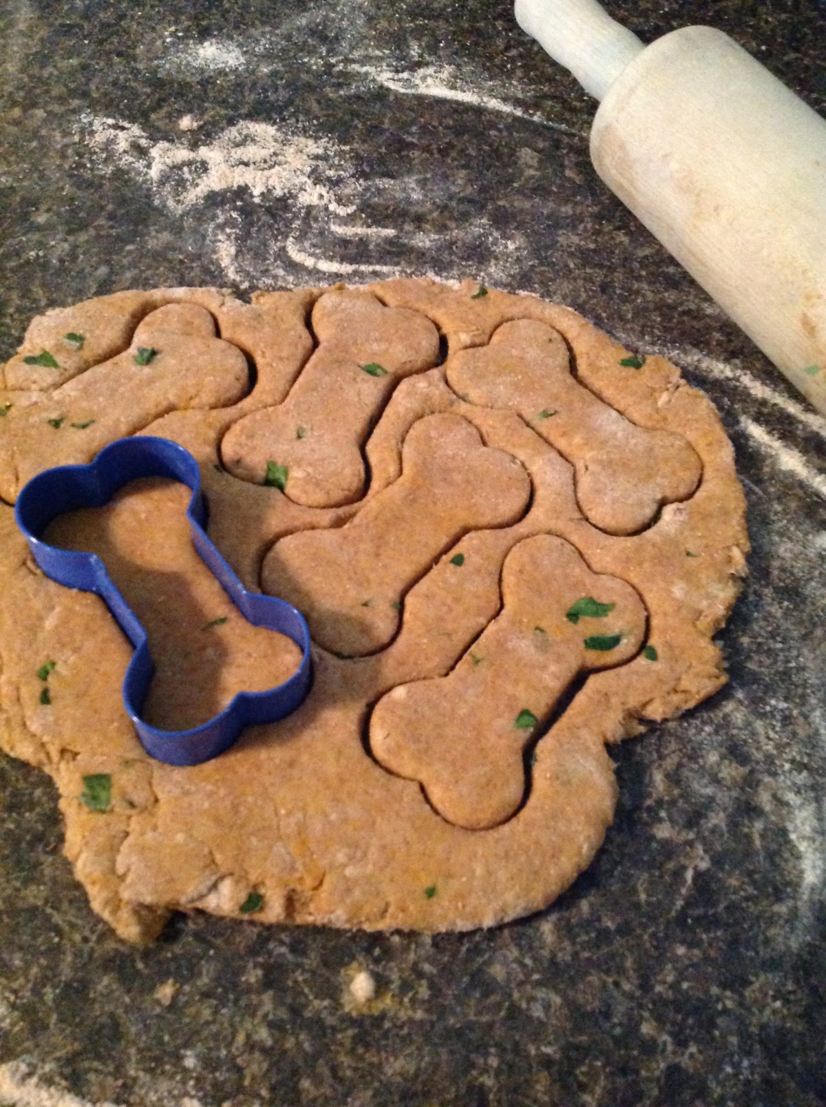 Homemade salmon best sale dog treats