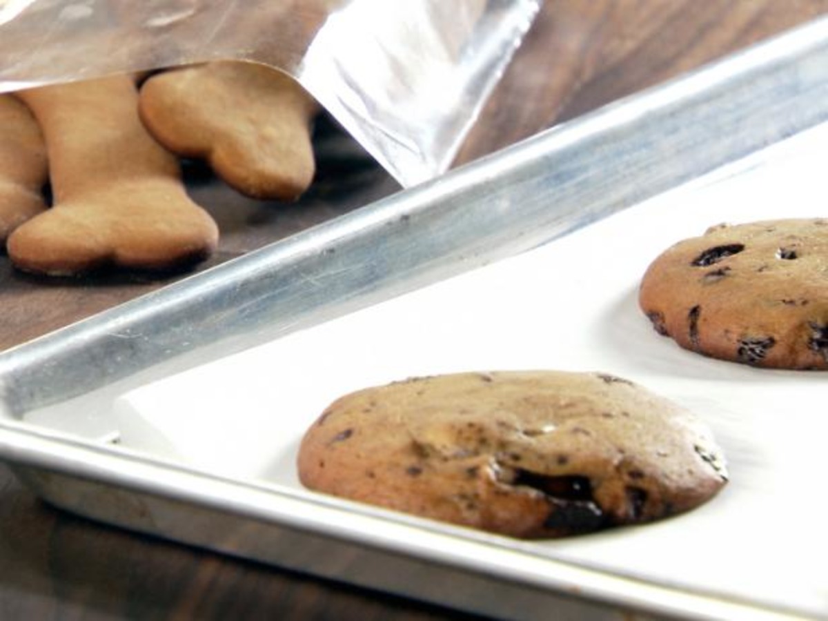 Cookies for dogs and humans cheap