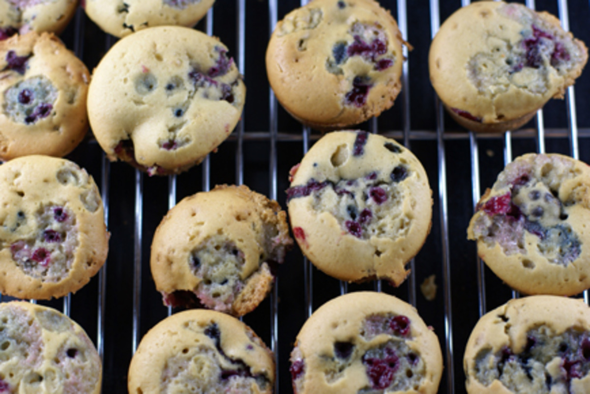 Blackberry Mini-Muffins or Mini-Cupcakes - You Decide! image
