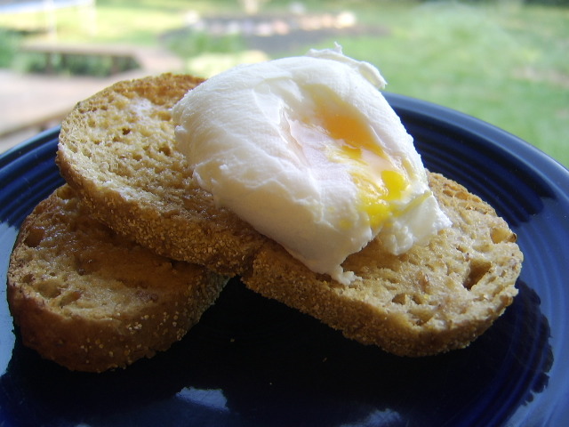 17 Easy Microwave Breakfast Recipes - Food.com
