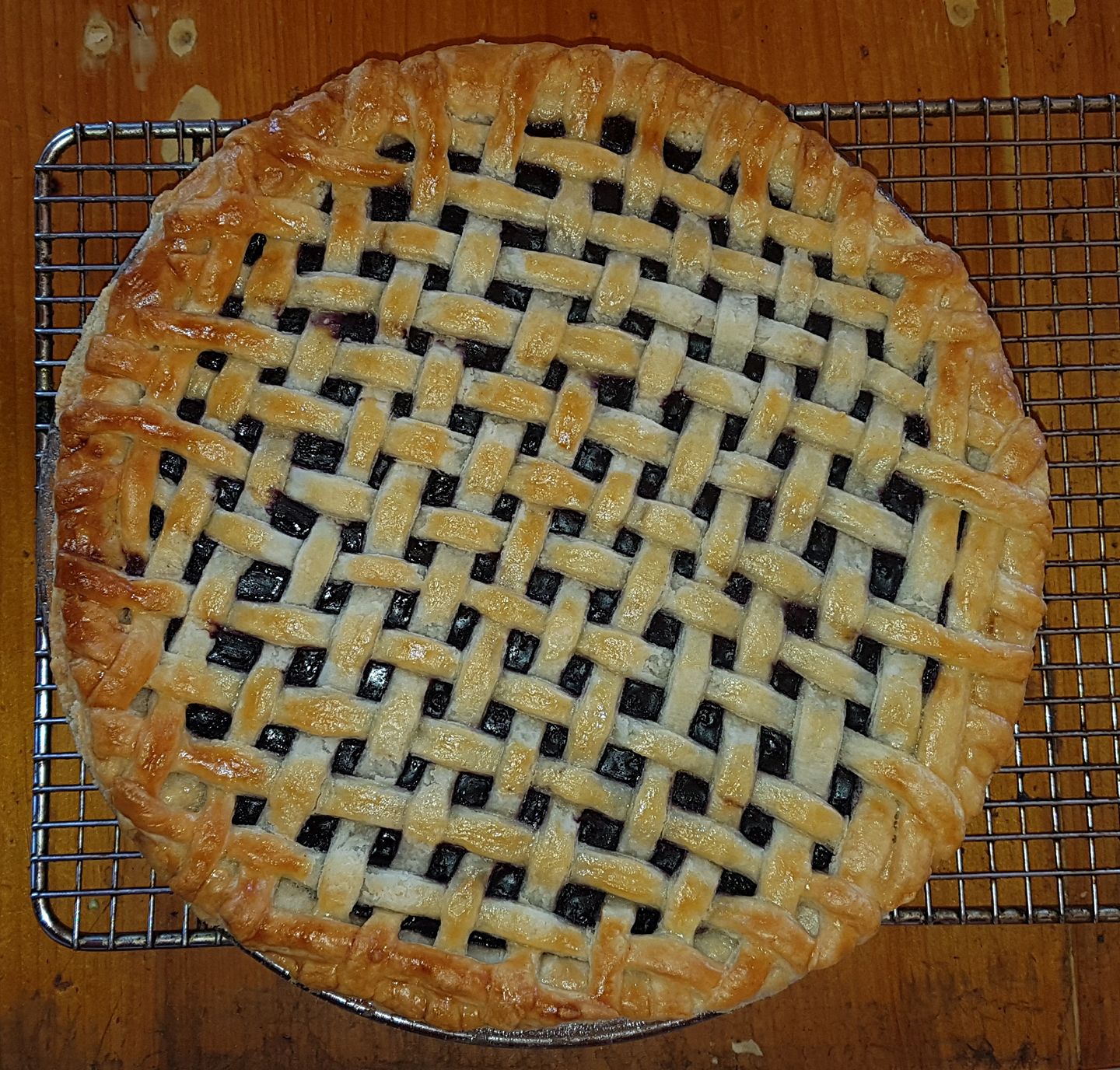 Blueberry Filling for Pies - Image 2