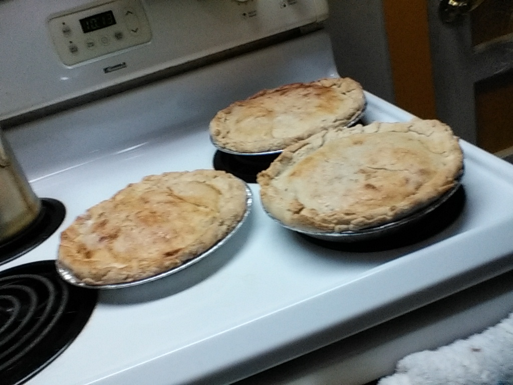 Creamy Rhubarb Custard Pie - Image 2