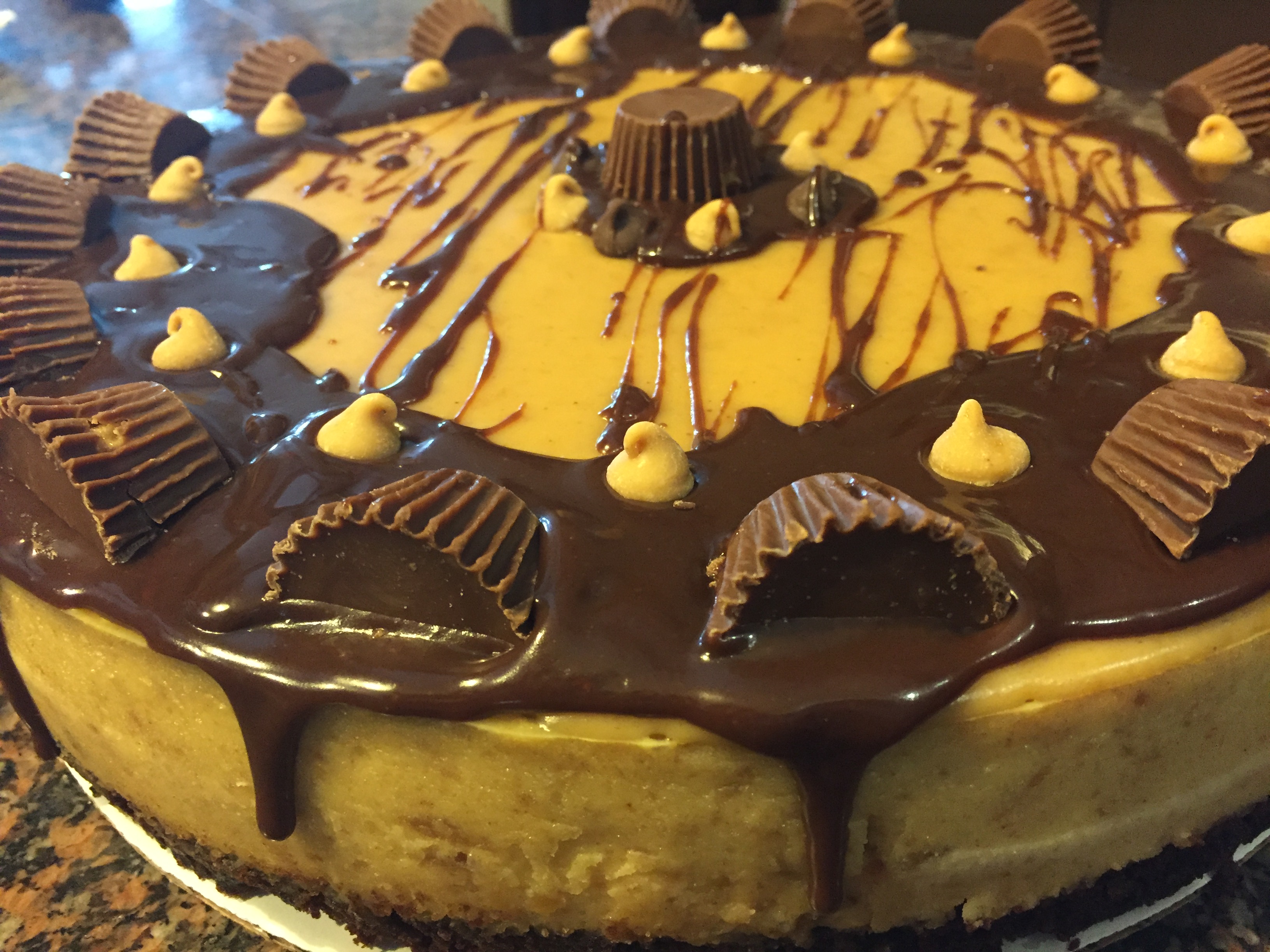 Peanut Butter Cup Brownie Bottom Cheesecake - Image 2