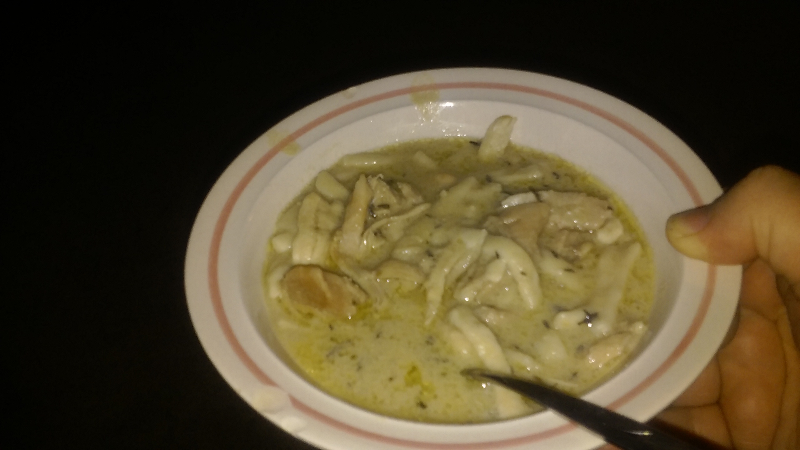 Crockpot Chicken &amp; Noodles - Image 3