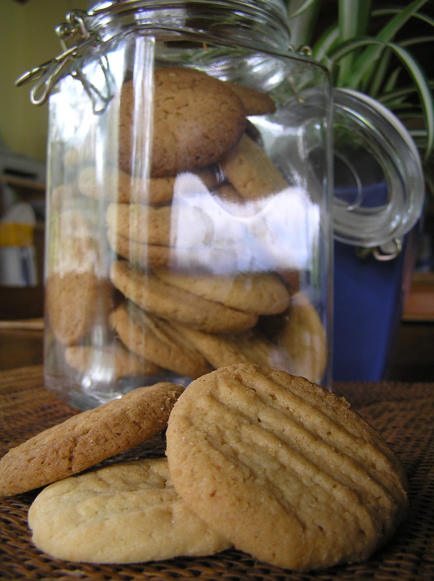 CRISPY COCONUT COOKIES