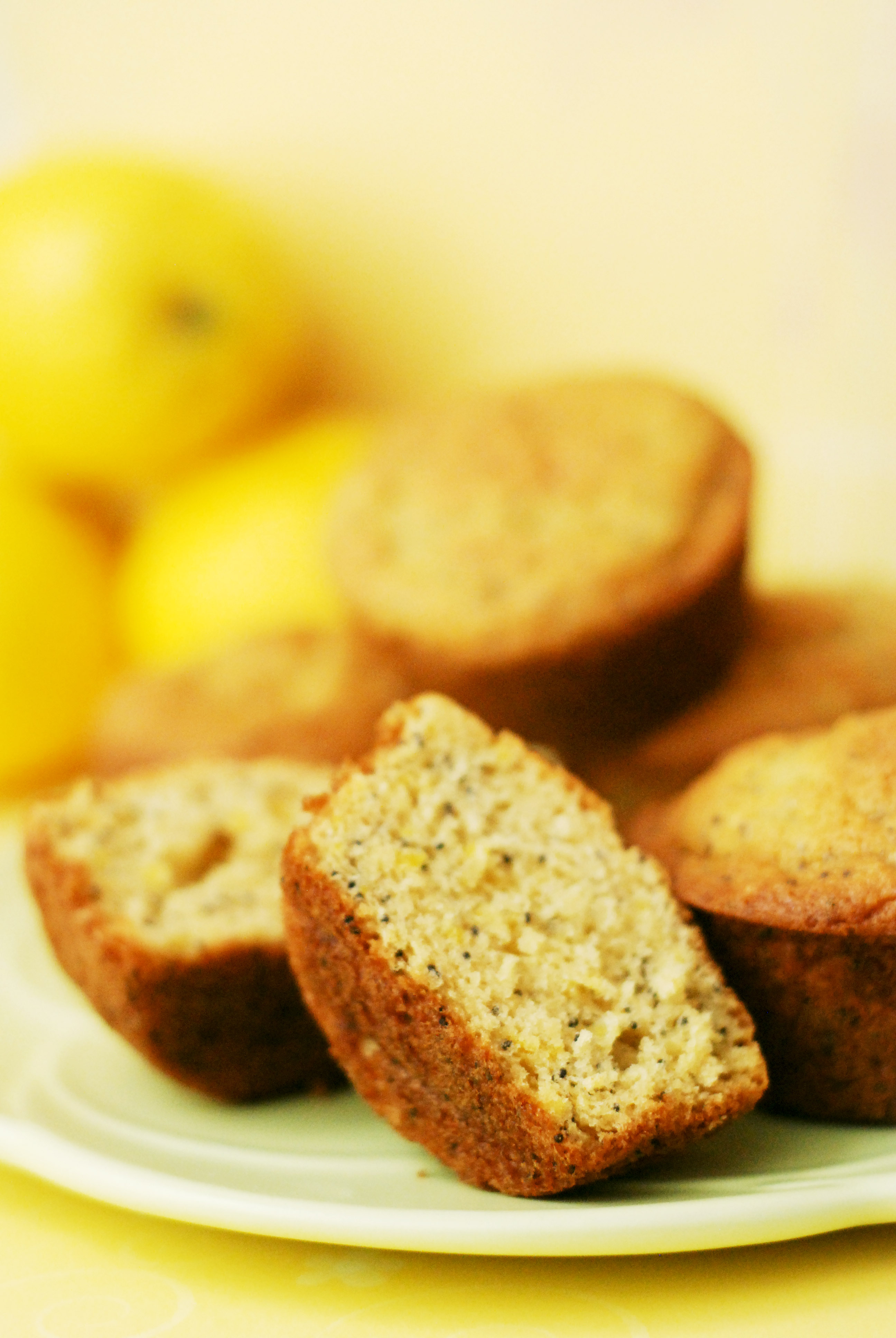 LEMON POPPY SEED MUFFINS