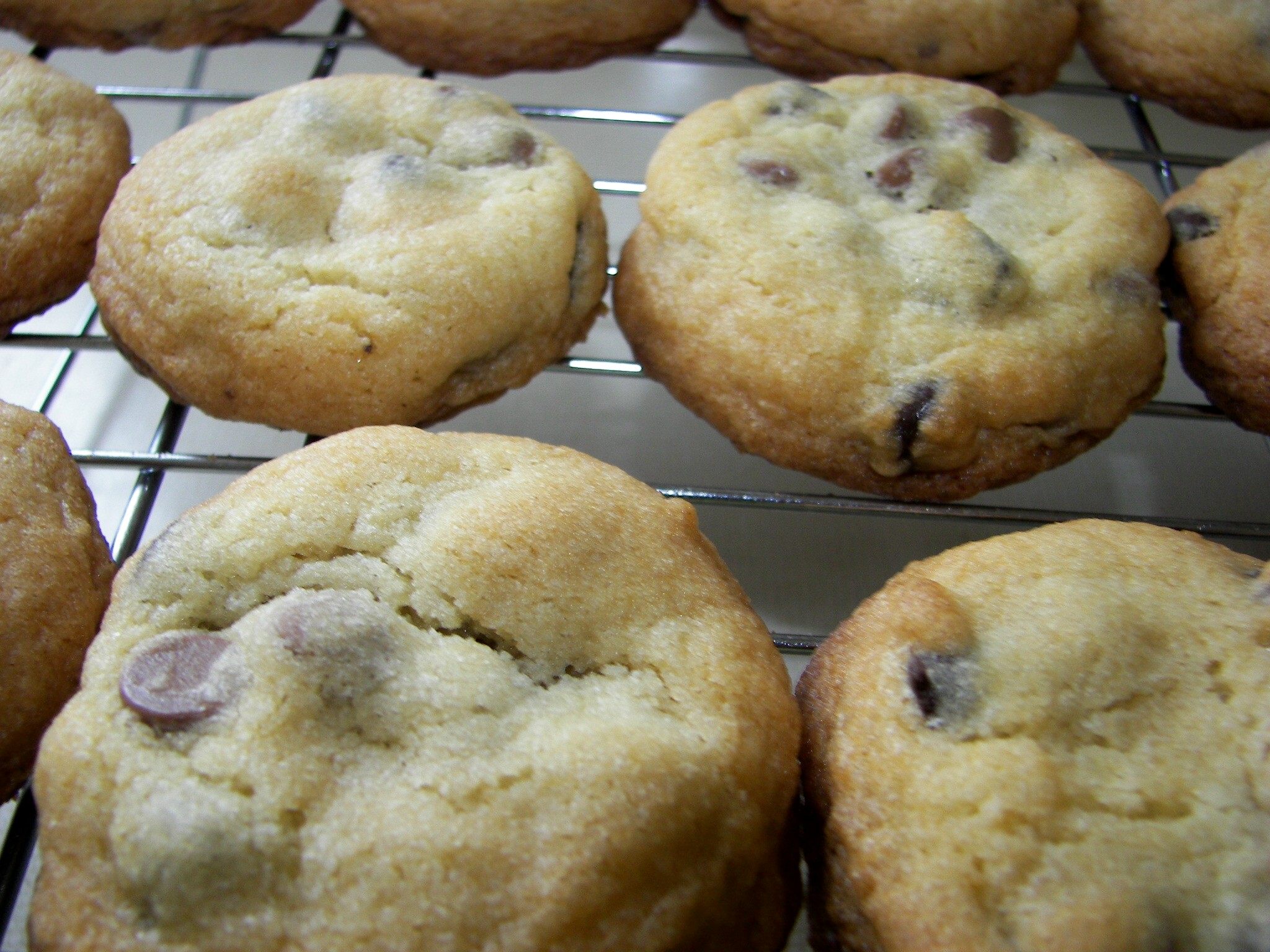 BEST EVER CHOCOLATE CHIP COOKIES BEST EVER CHOCOLATE CHIP COOKIES