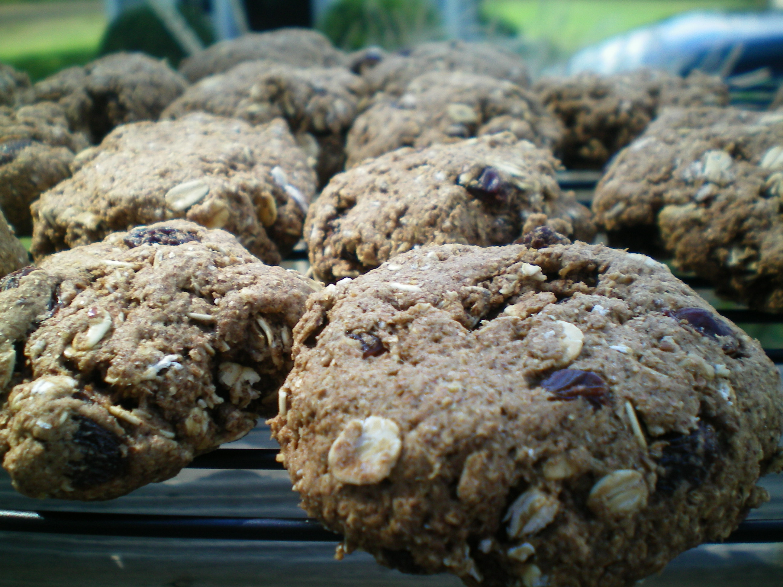 BREAKFAST COOKIES