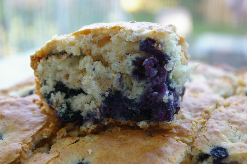 BLUEBERRY OATMEAL BREAKFAST CAKE