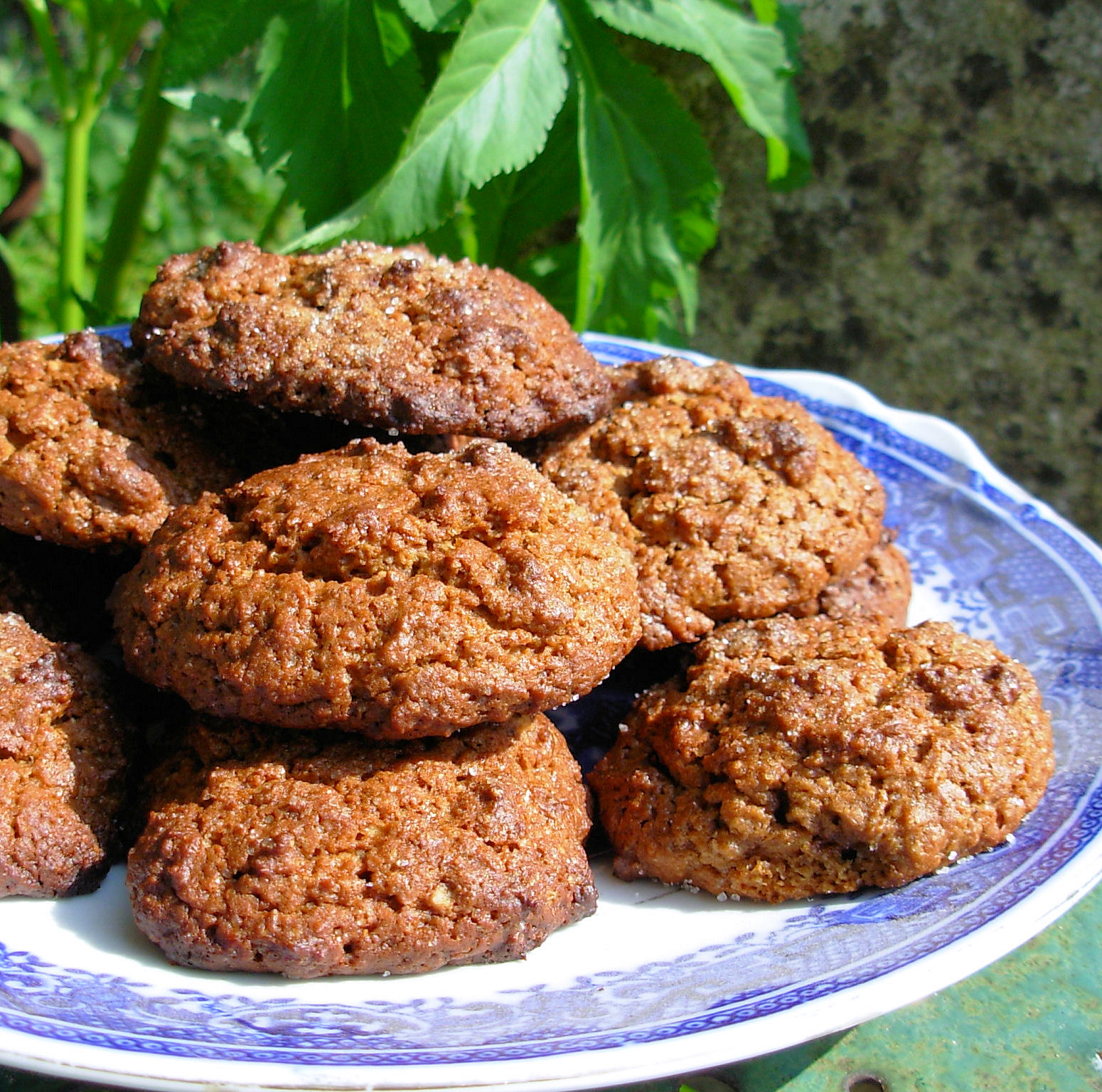 Ginger Biscuits Recipes South Africa