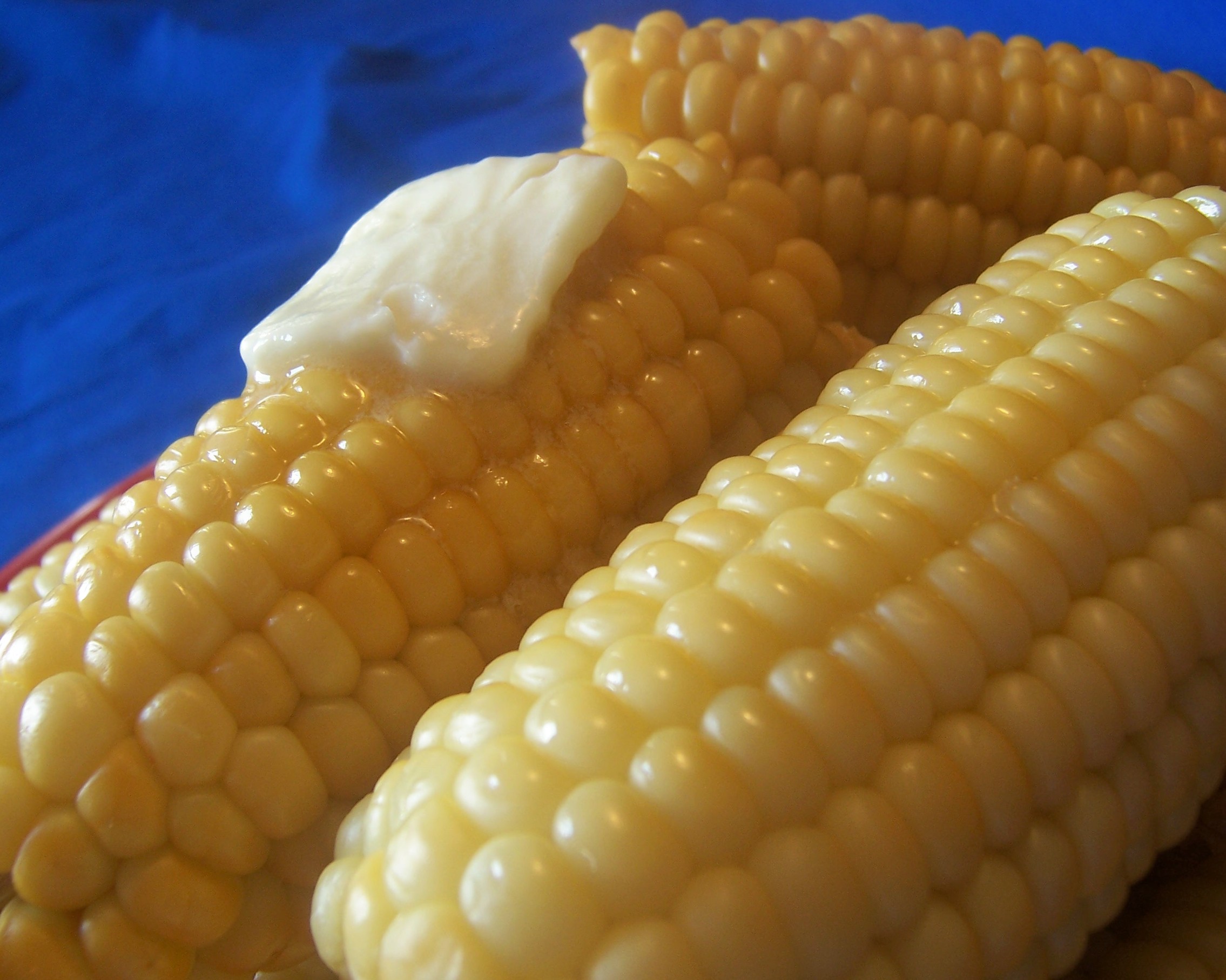 KITTENCAL'S MILK BOILED CORN ON THE COB