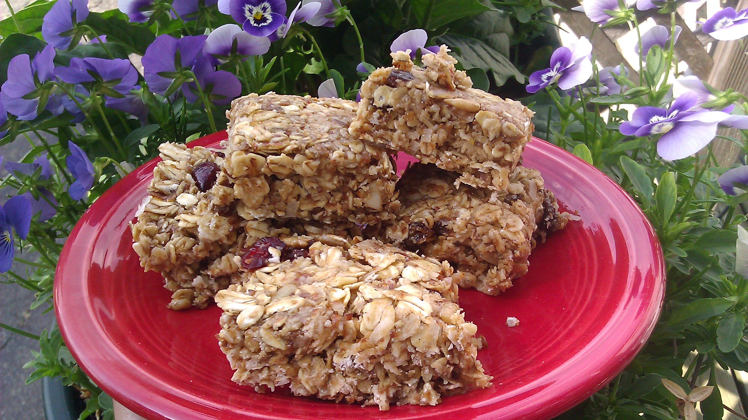 GRANOLA BARS