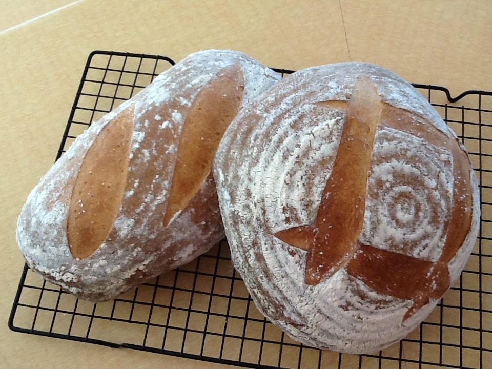 SOURDOUGH ROSEMARY POTATO BREAD