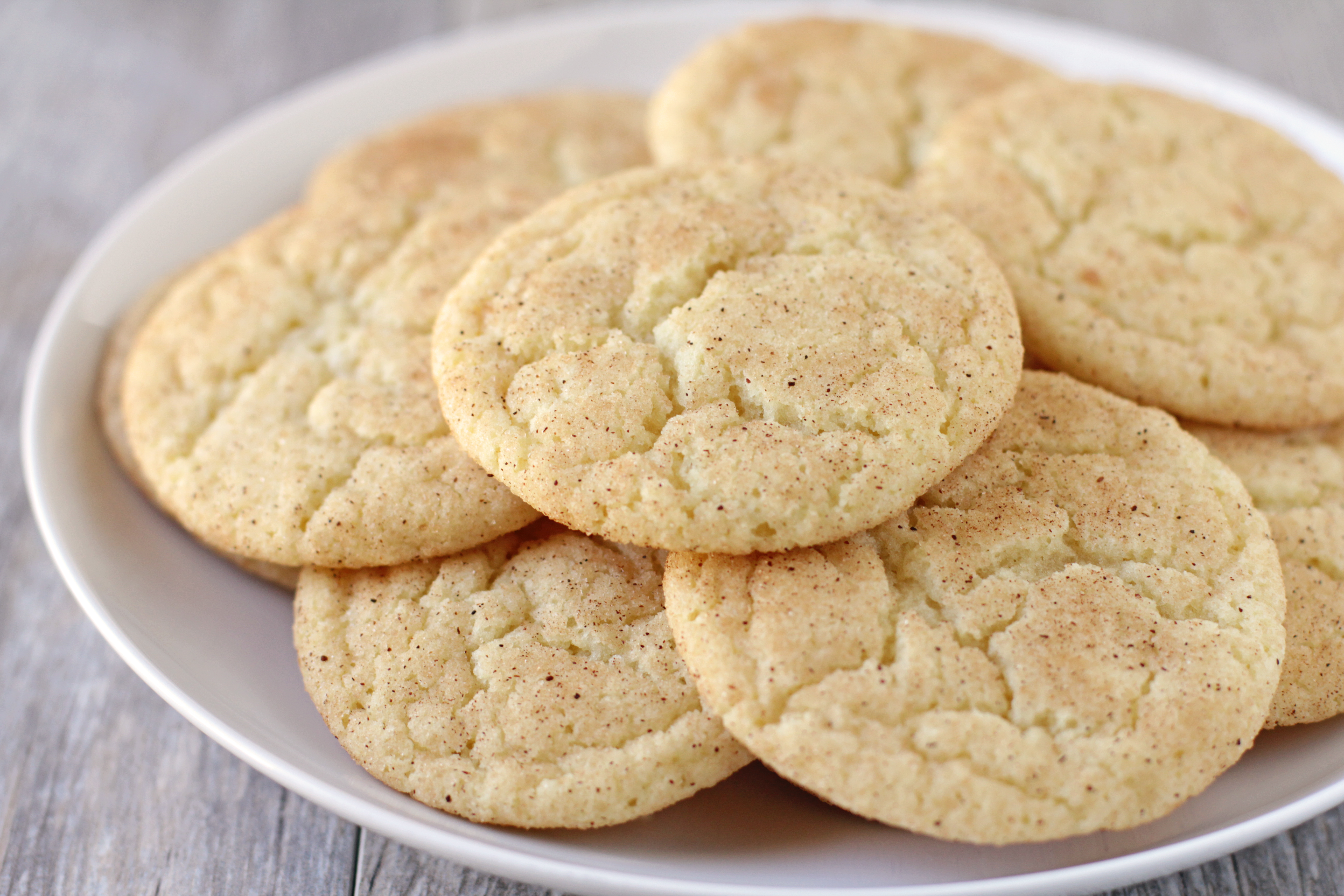 ↬ The Best SNICKERDOODLES