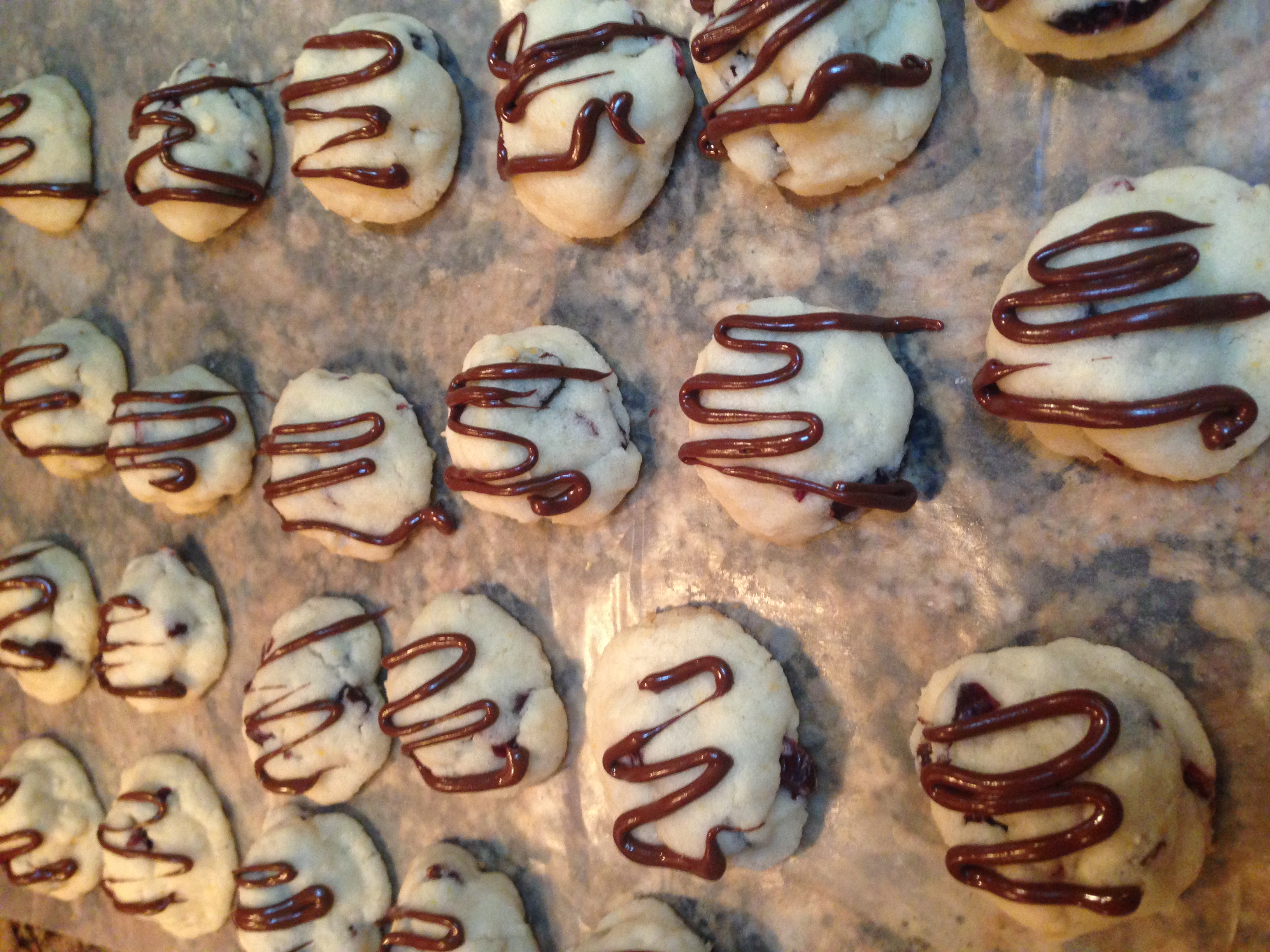 COCONUT CRANBERRY CHEWS
