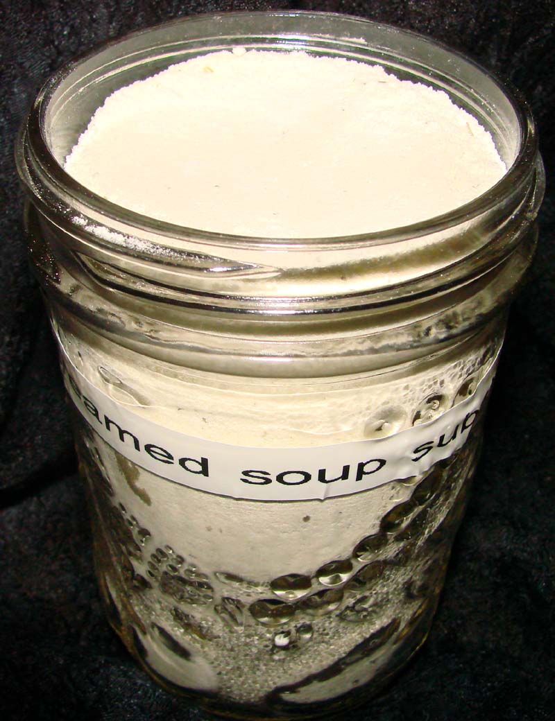 CREAMED SOUP SUBSTITUTE
