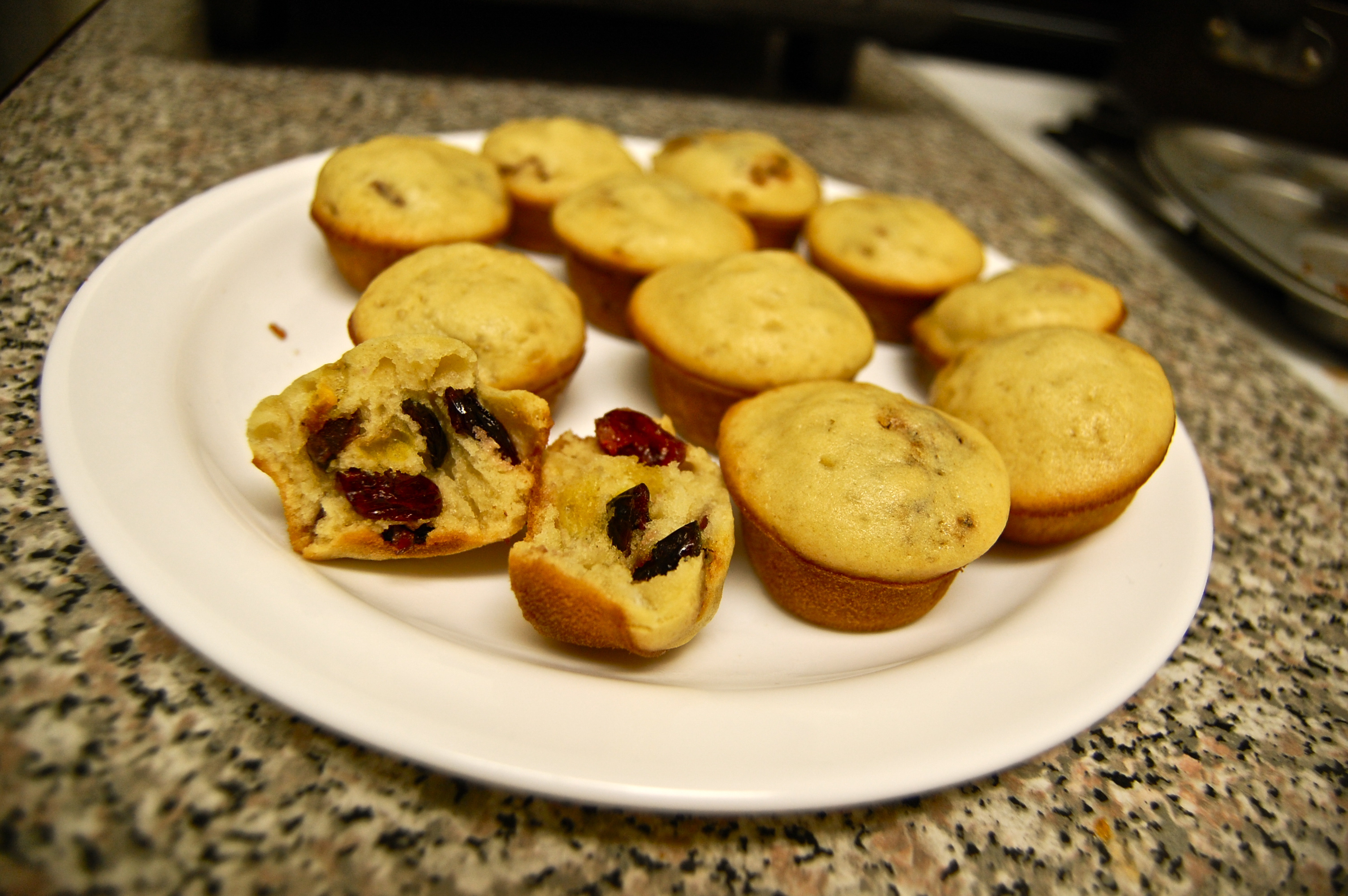 BLUEBERRY (OR CHOCOLATE CHIP) MINI MUFFINS