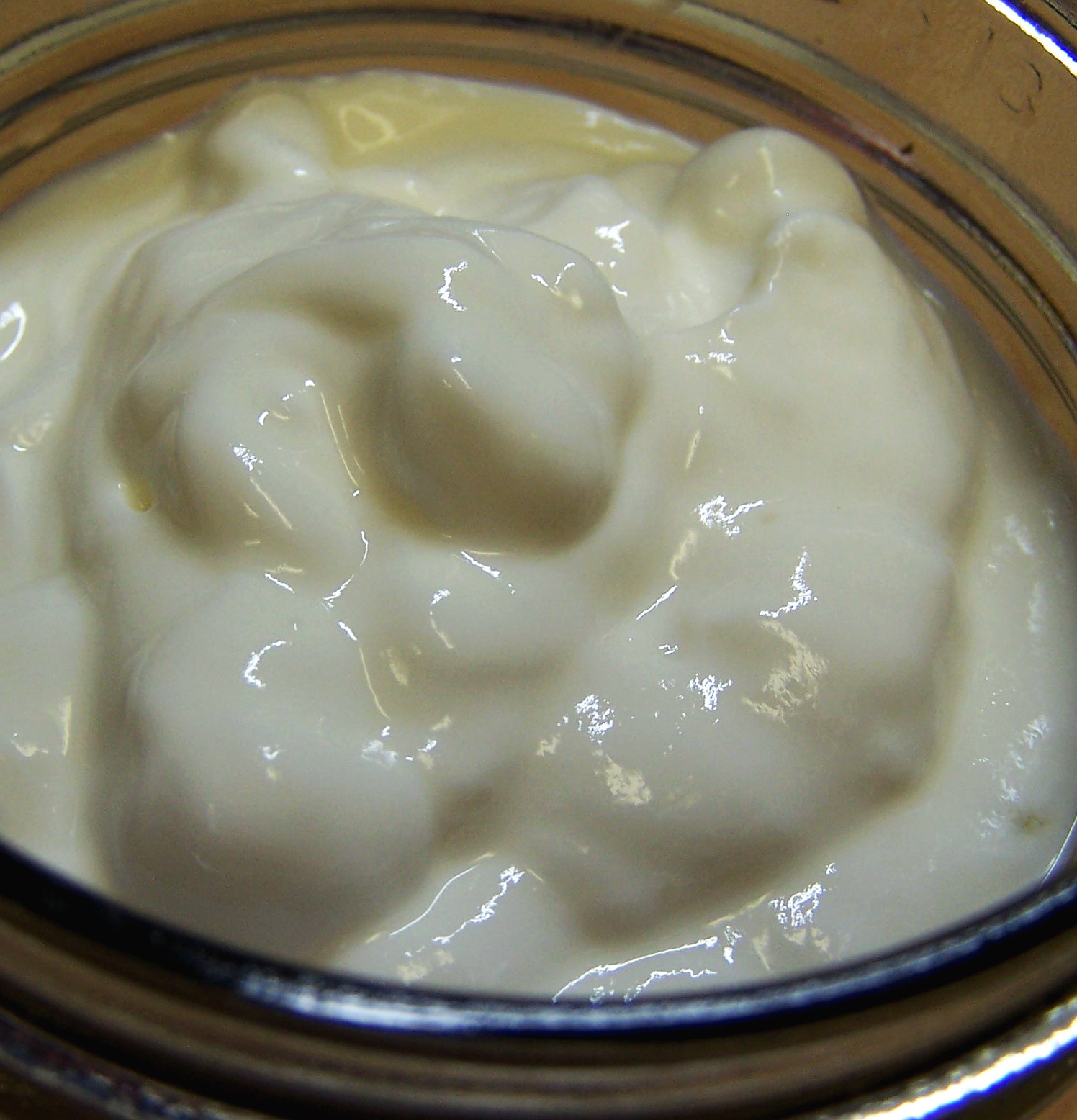 MAKE YOUR OWN GREEK YOGHURT