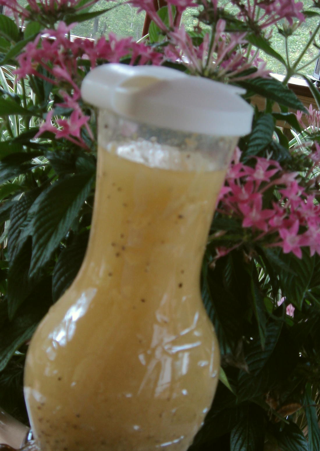sachin and babi light blue dress Champagne Vinegar Salad Dressing main image 0