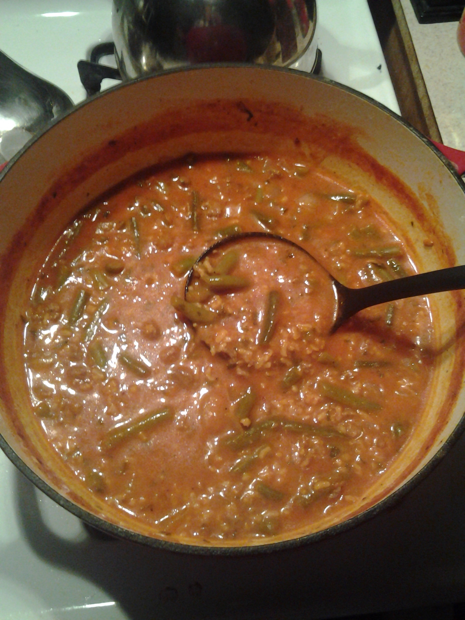 HEALTHY HAMBURGER AND GREEN BEAN SOUP HEALTHY HAMBURGER AND GREEN BEAN SOUP