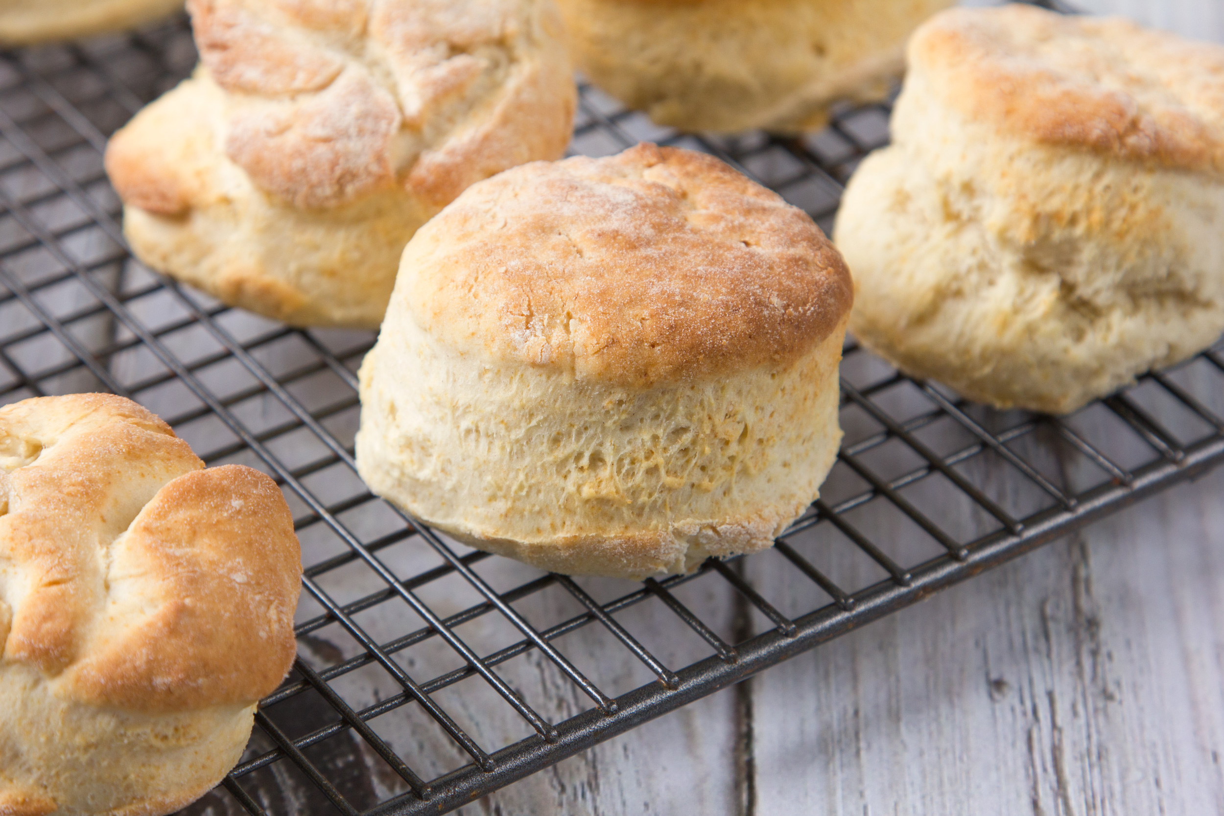 HOMEMADE BISCUITS