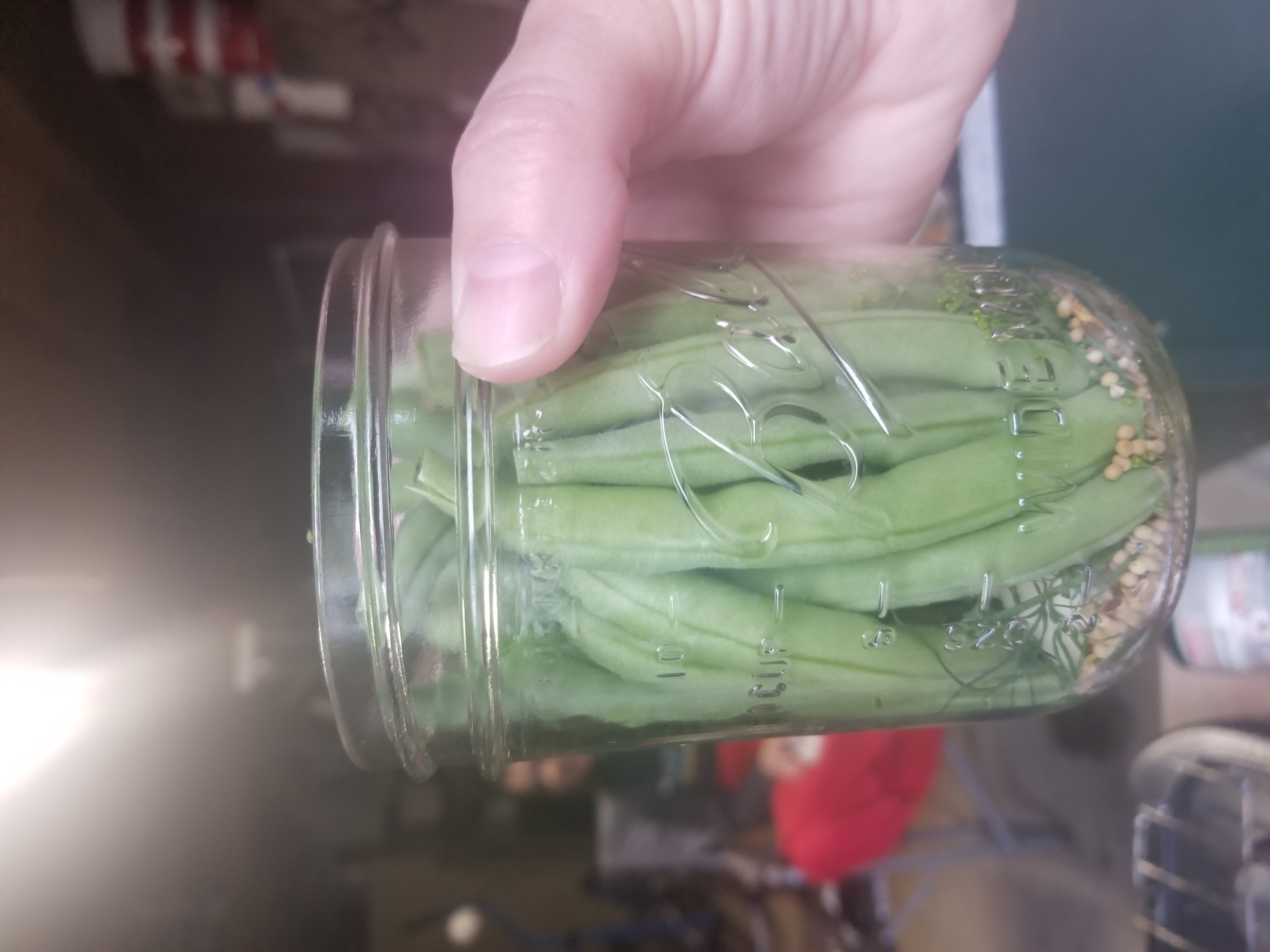 PICKLED GREEN BEANS (DILLY BEANS)