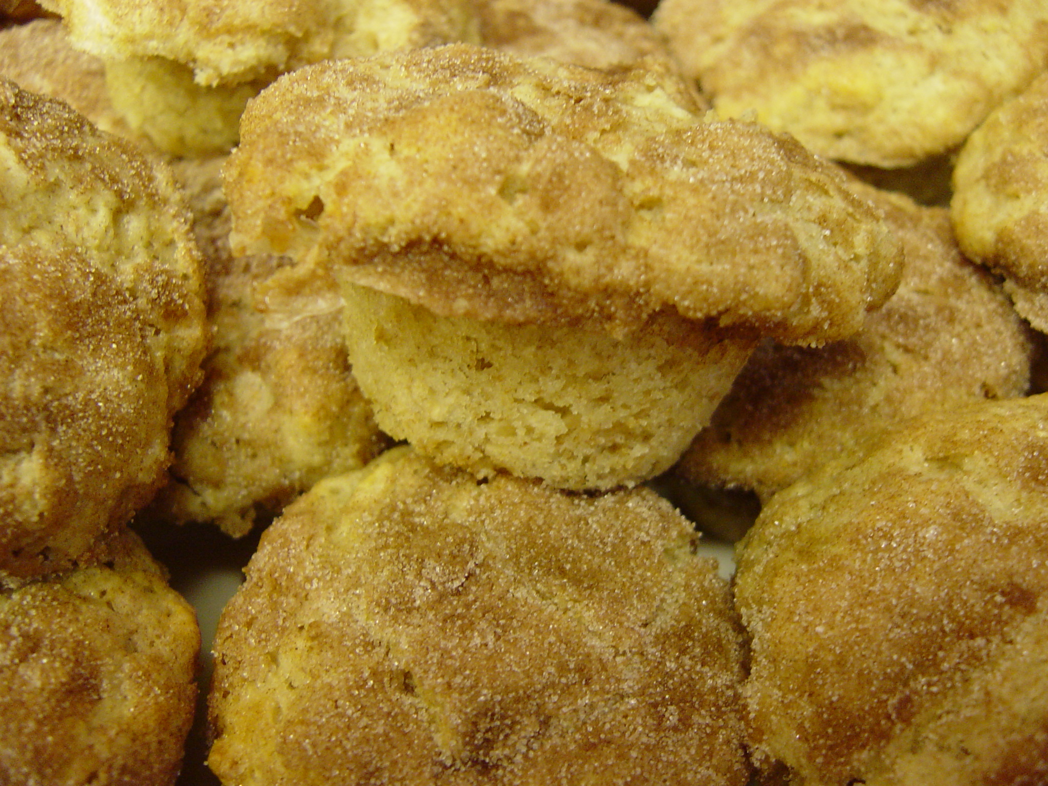 SNICKERDOODLE MUFFINS