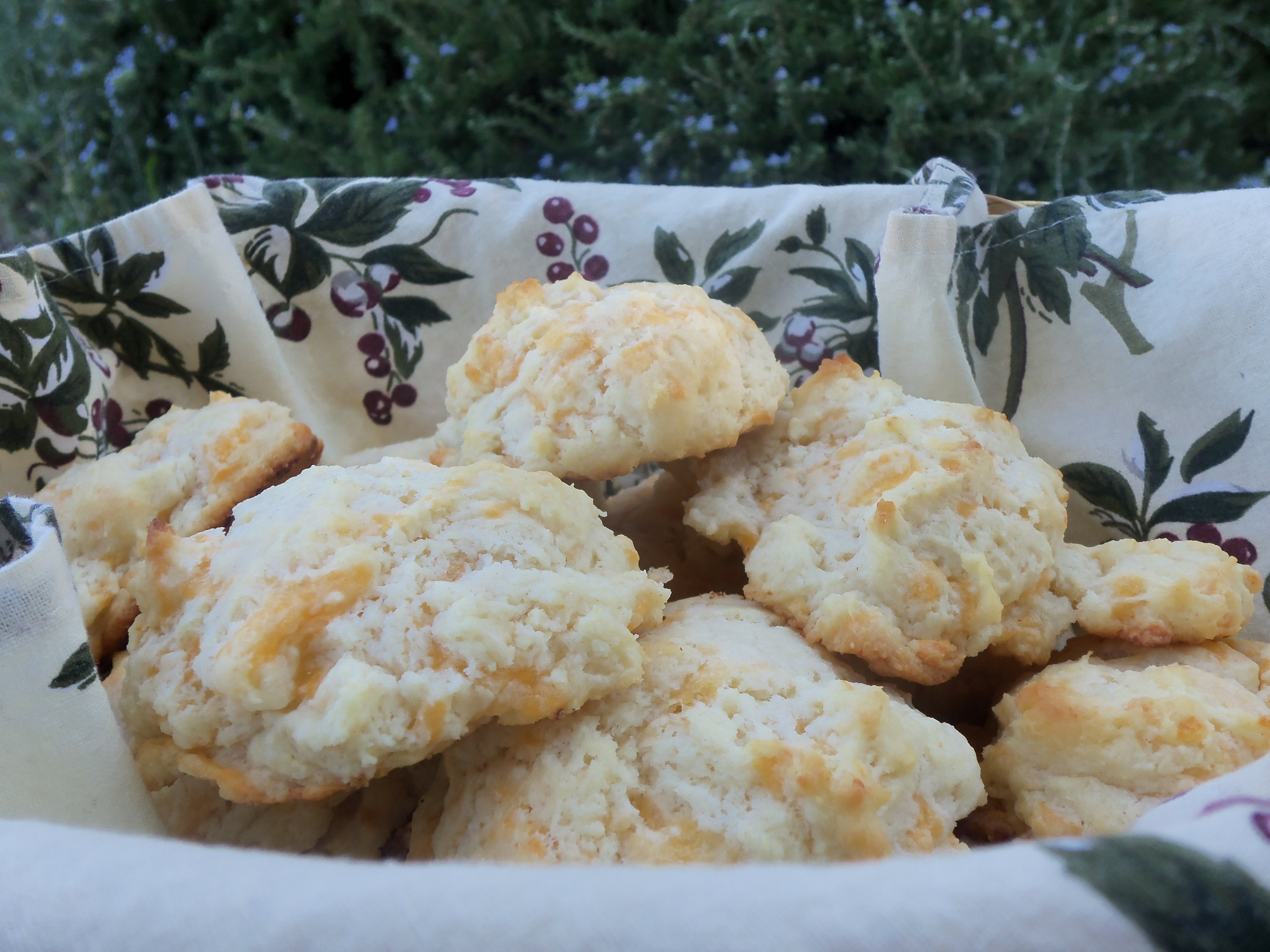 GARLIC CHEDDAR BISCUITS