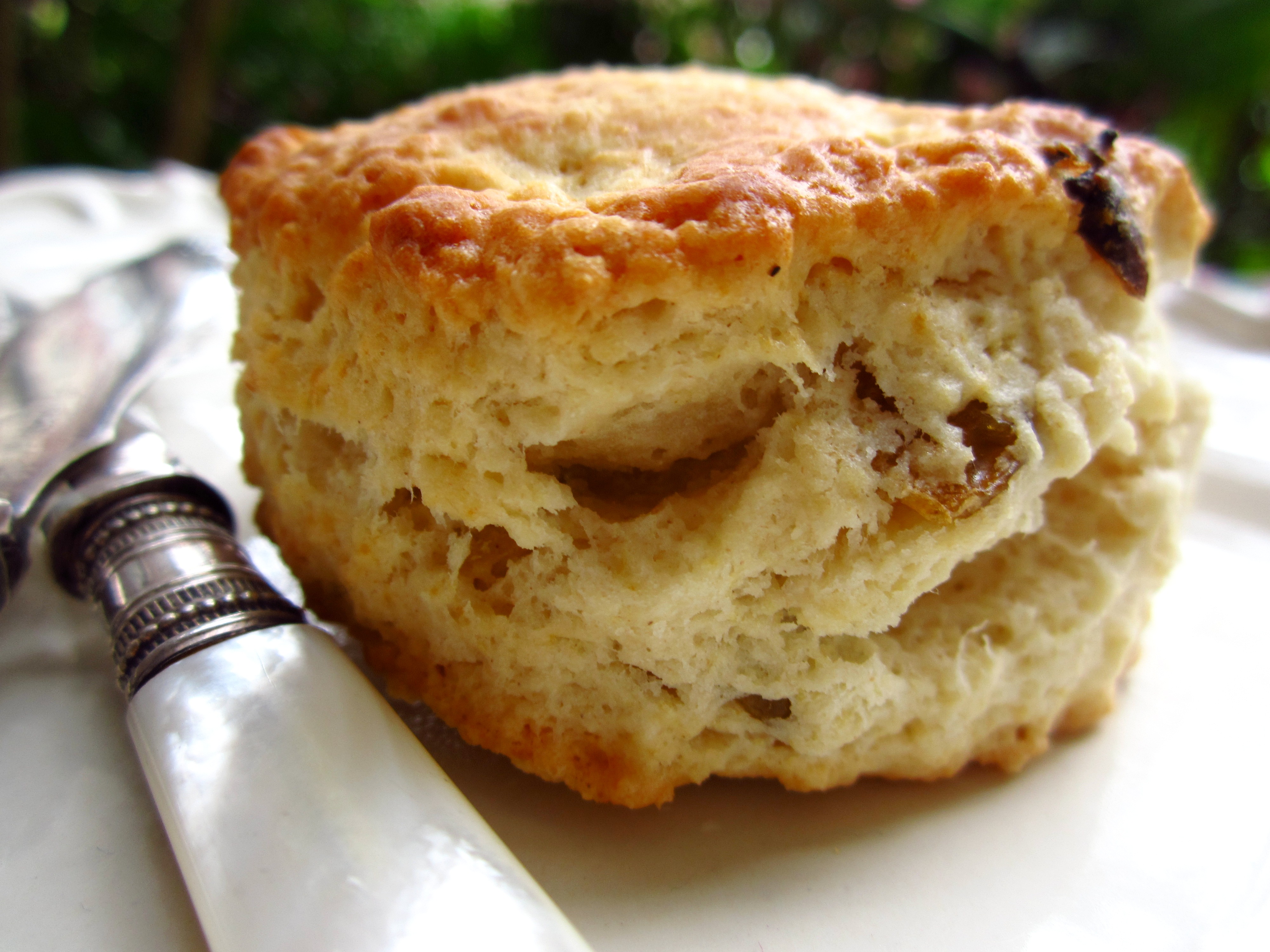 CLASSIC CREAM SCONES