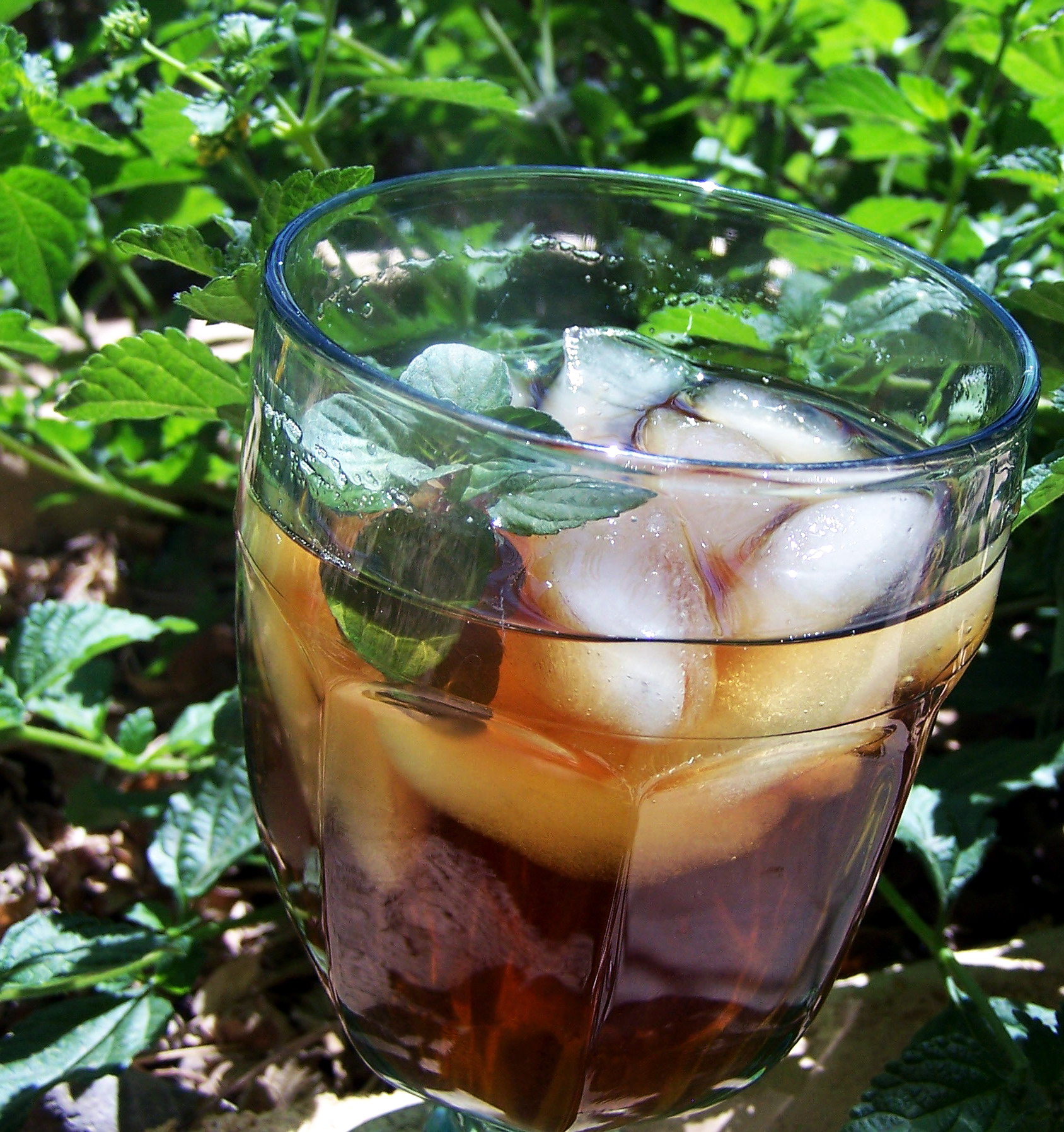 How to make homemade iced tea (sun-brewed or boiled!) - Cucicucicoo