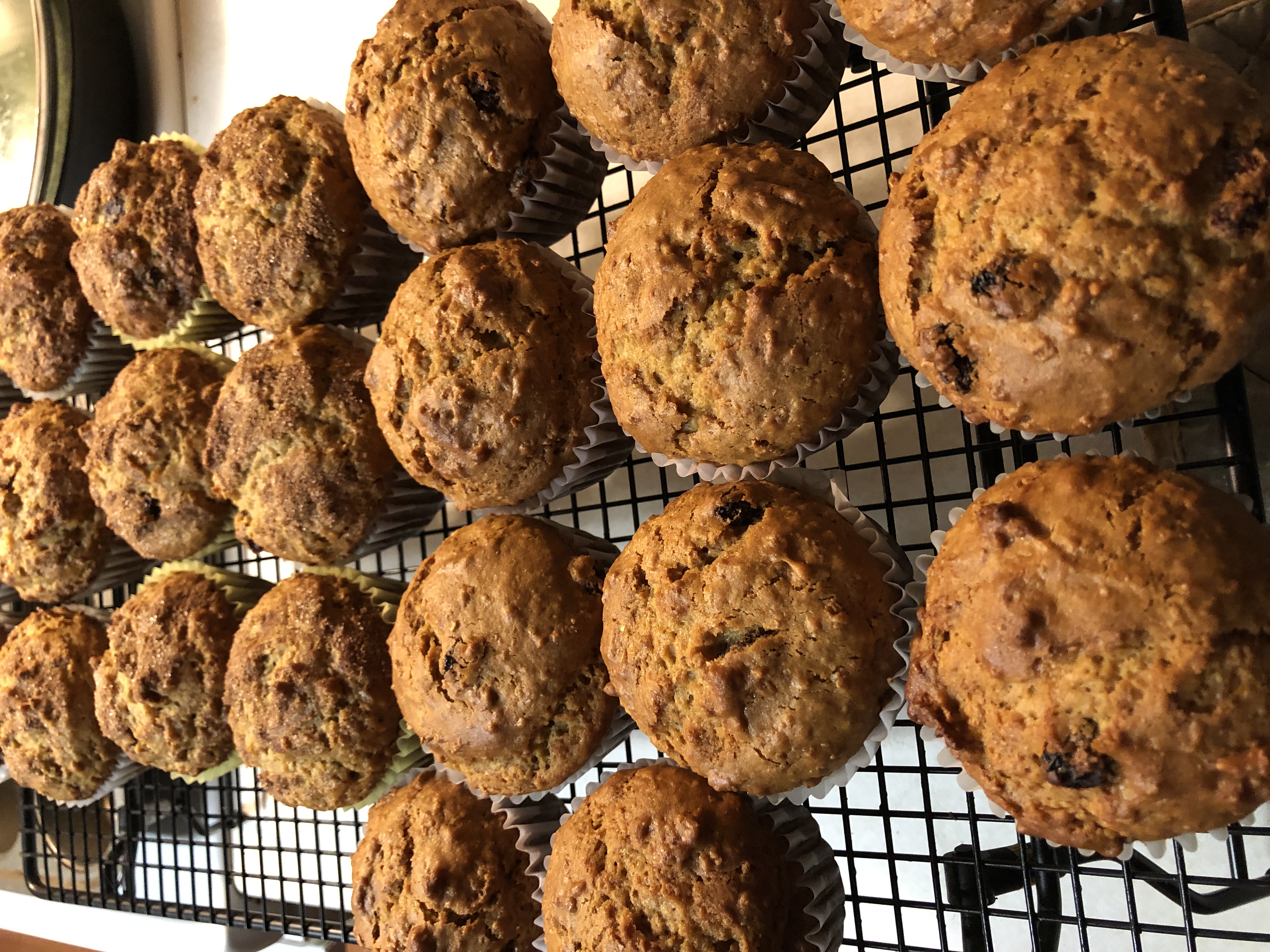 RAISIN BRAN BUTTERMILK MUFFINS