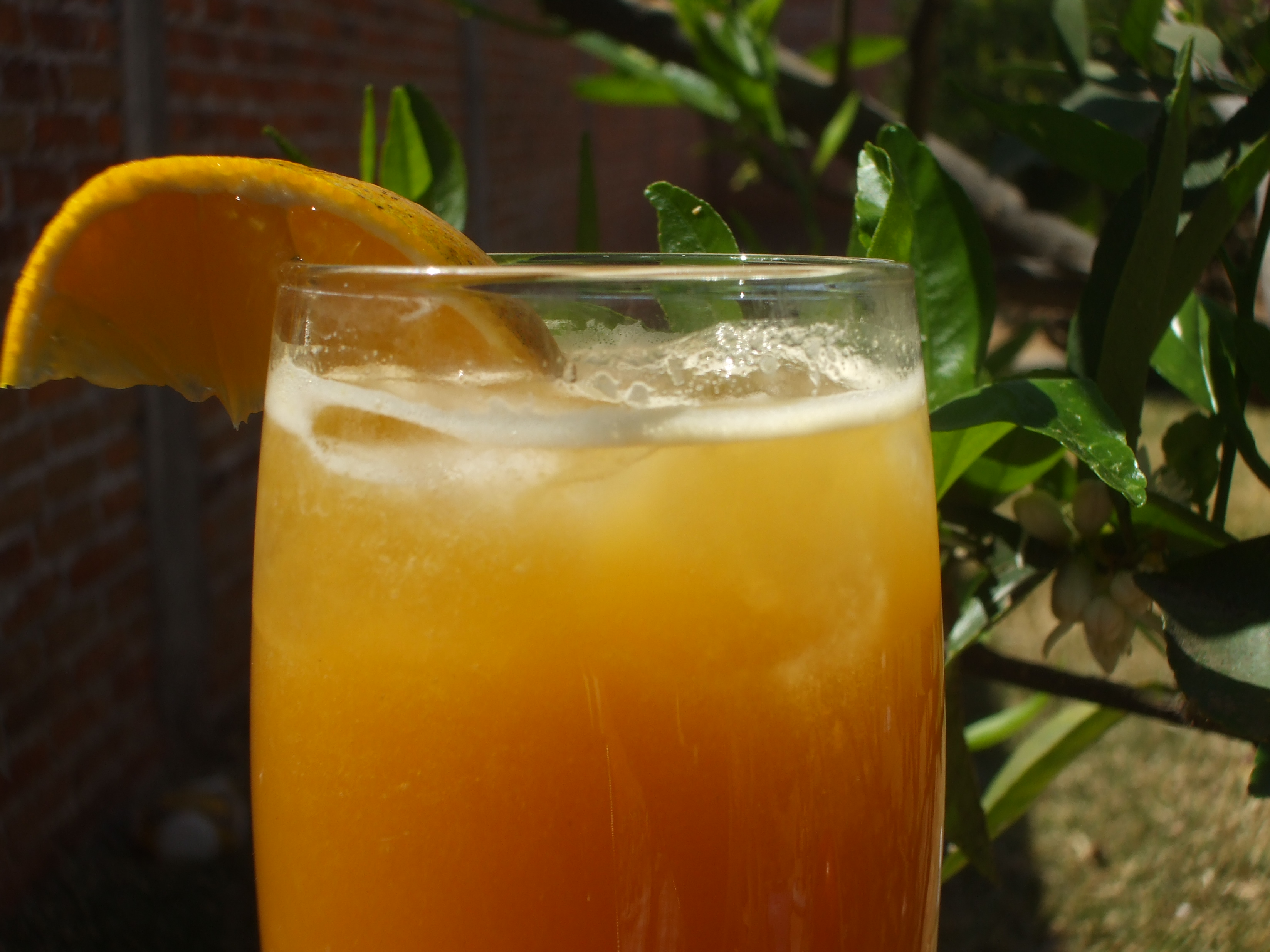 APRICOT CITRUS DRINK