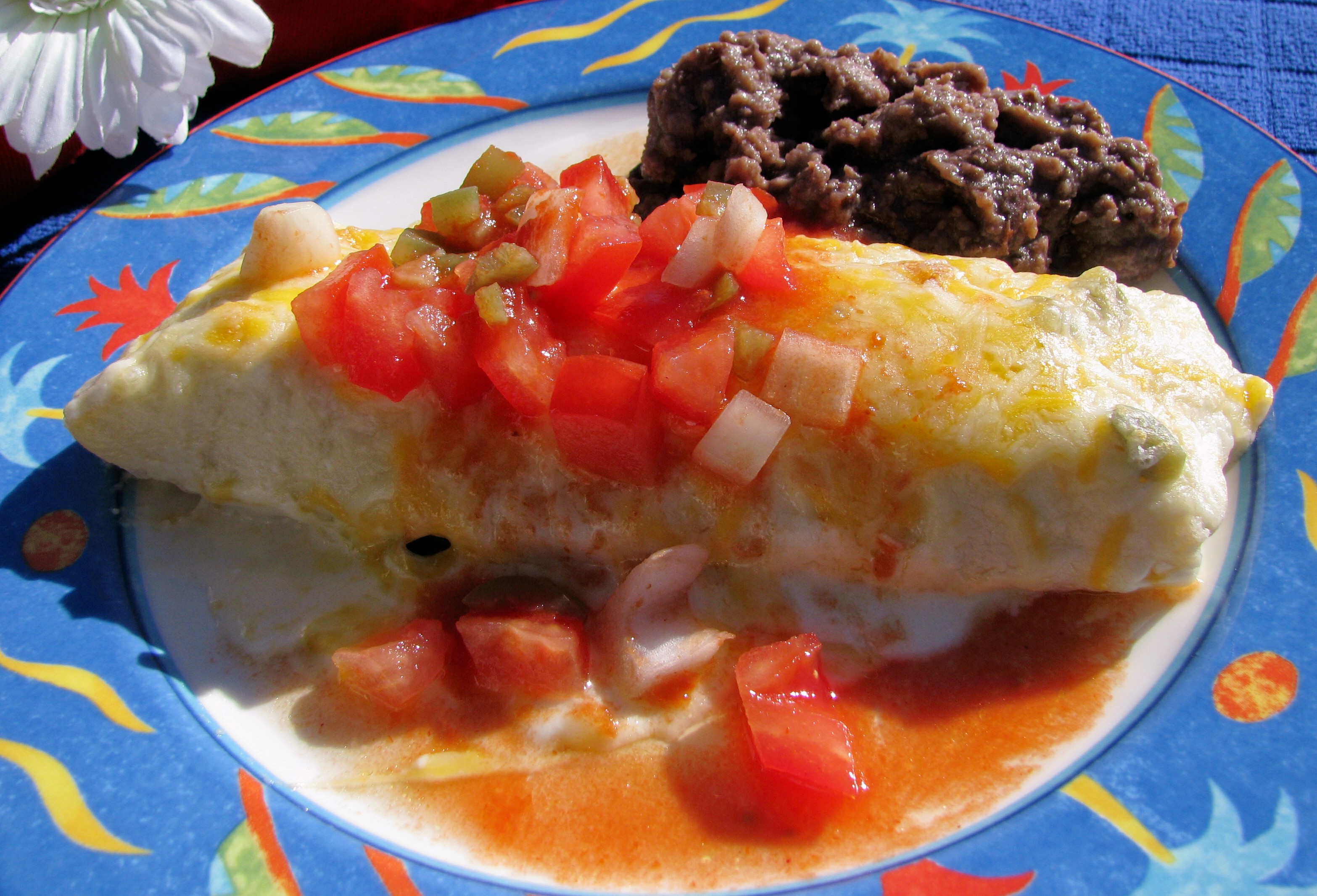 CHICKEN ENCHILADAS WITH SOUR CREAM SAUCE