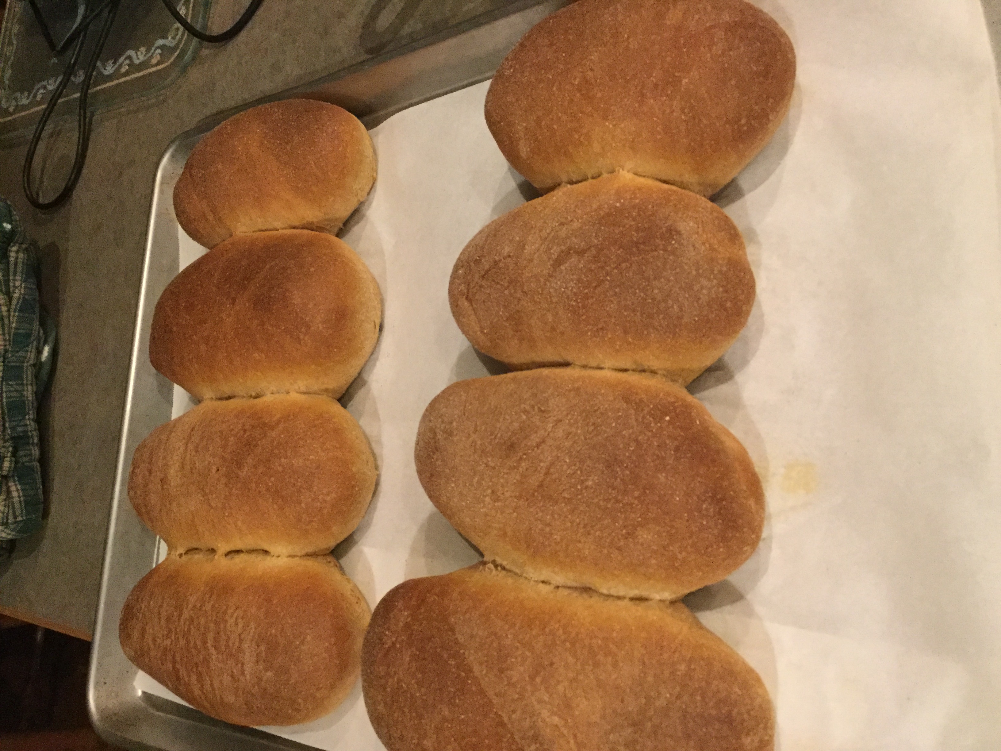 100% WHOLE WHEAT BURGER/HOT DOG BUNS