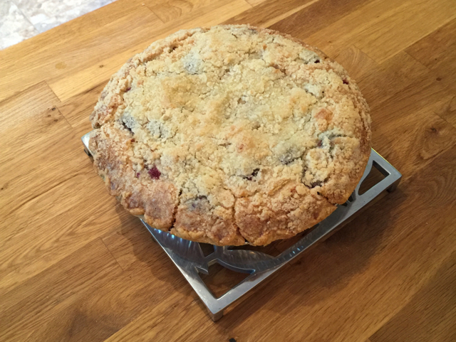 BLACKBERRY CUSTARD PIE