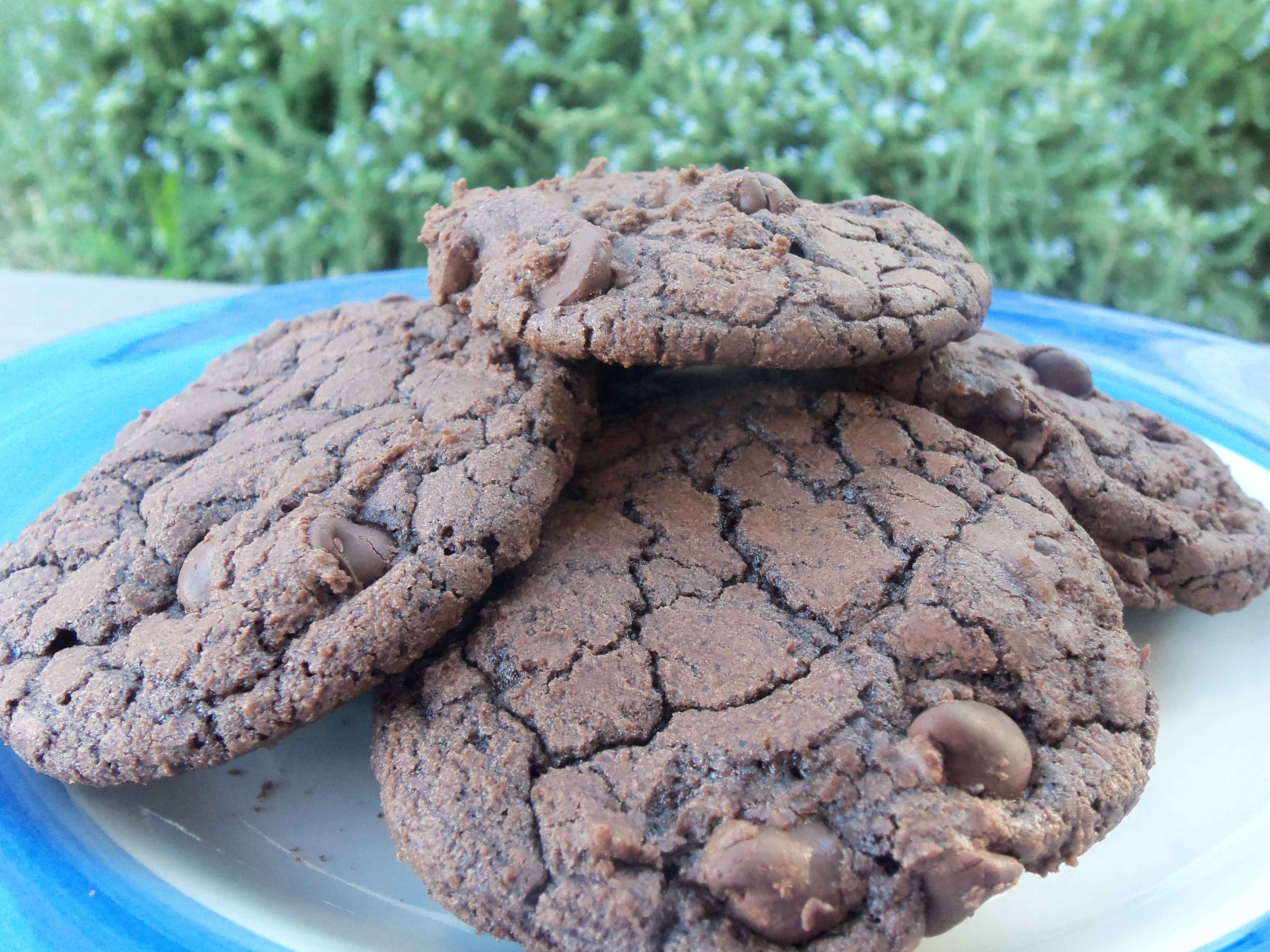 BROWNIE CHIP COOKIES