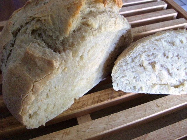 Ⓘ Recipe ENJOY NO-KNEAD, FRIDGE-FRIENDLY DOUGH HEALTHY BREAD-IN 5 MINUTES