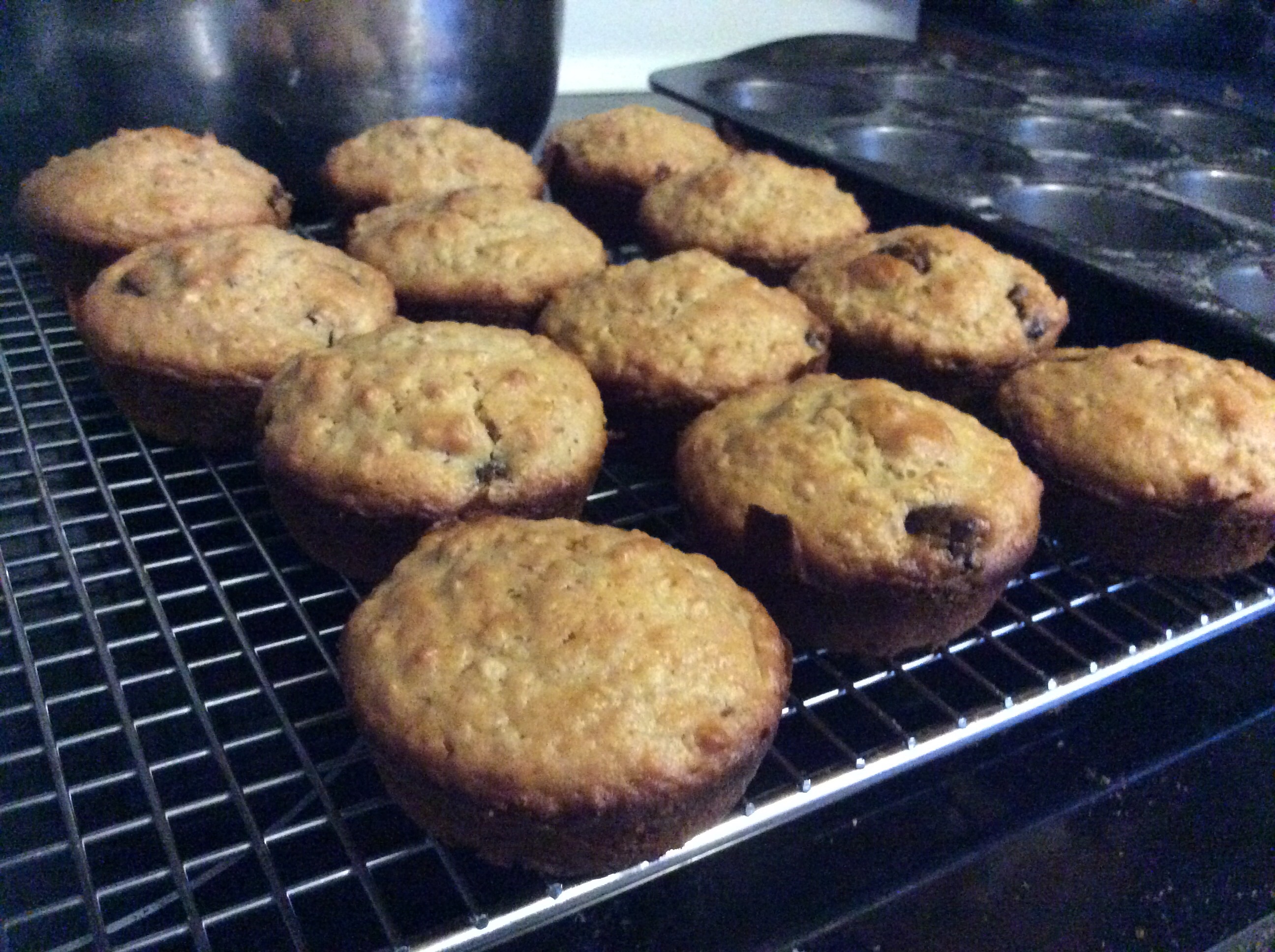 OATMEAL CHOCOLATE CHIP MUFFINS OATMEAL CHOCOLATE CHIP MUFFINS