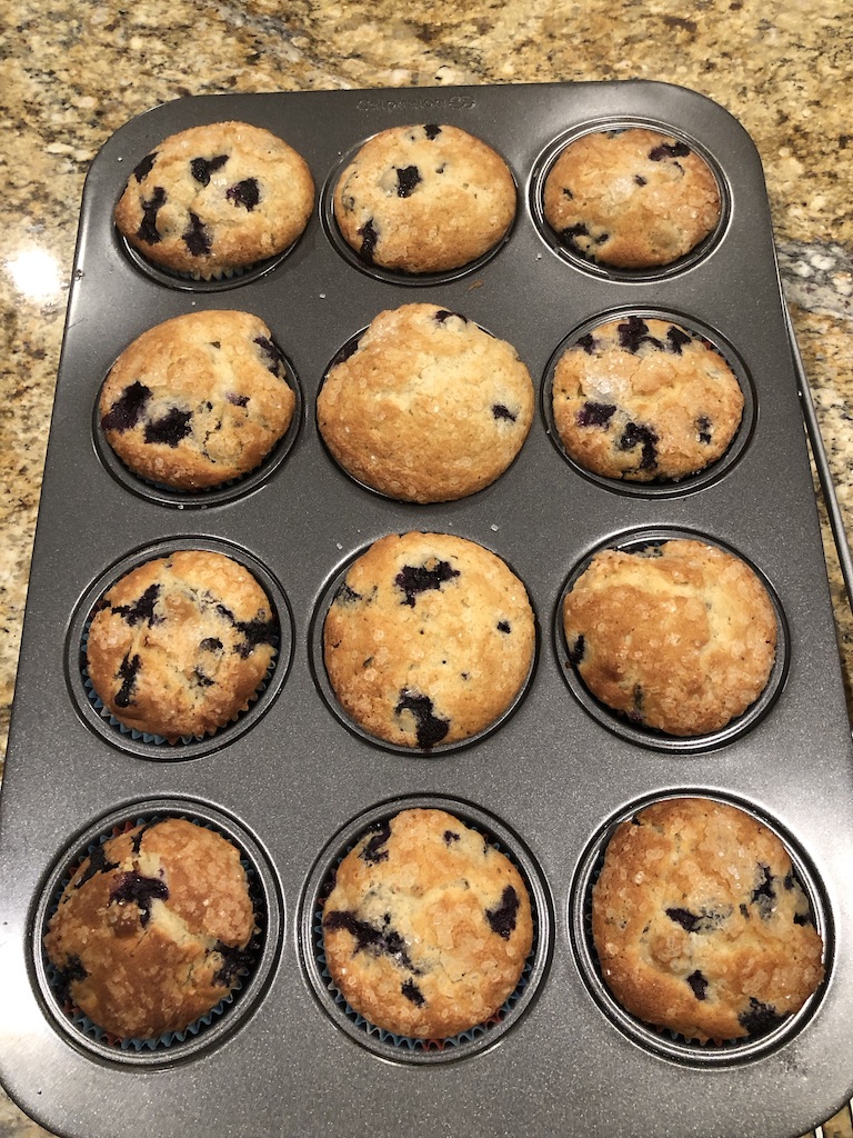 BLUEBERRY MUFFINS