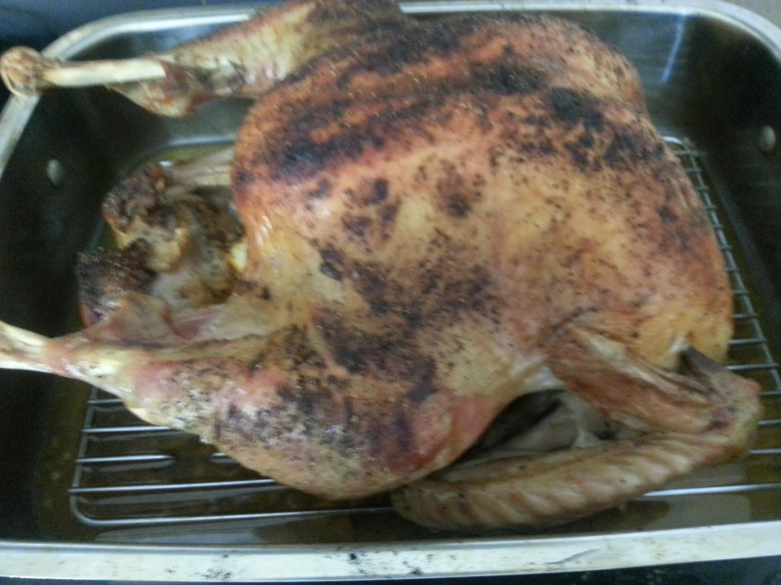 KITTENCAL'S BLASTED RAPID ROAST 2-HOUR WHOLE TURKEY