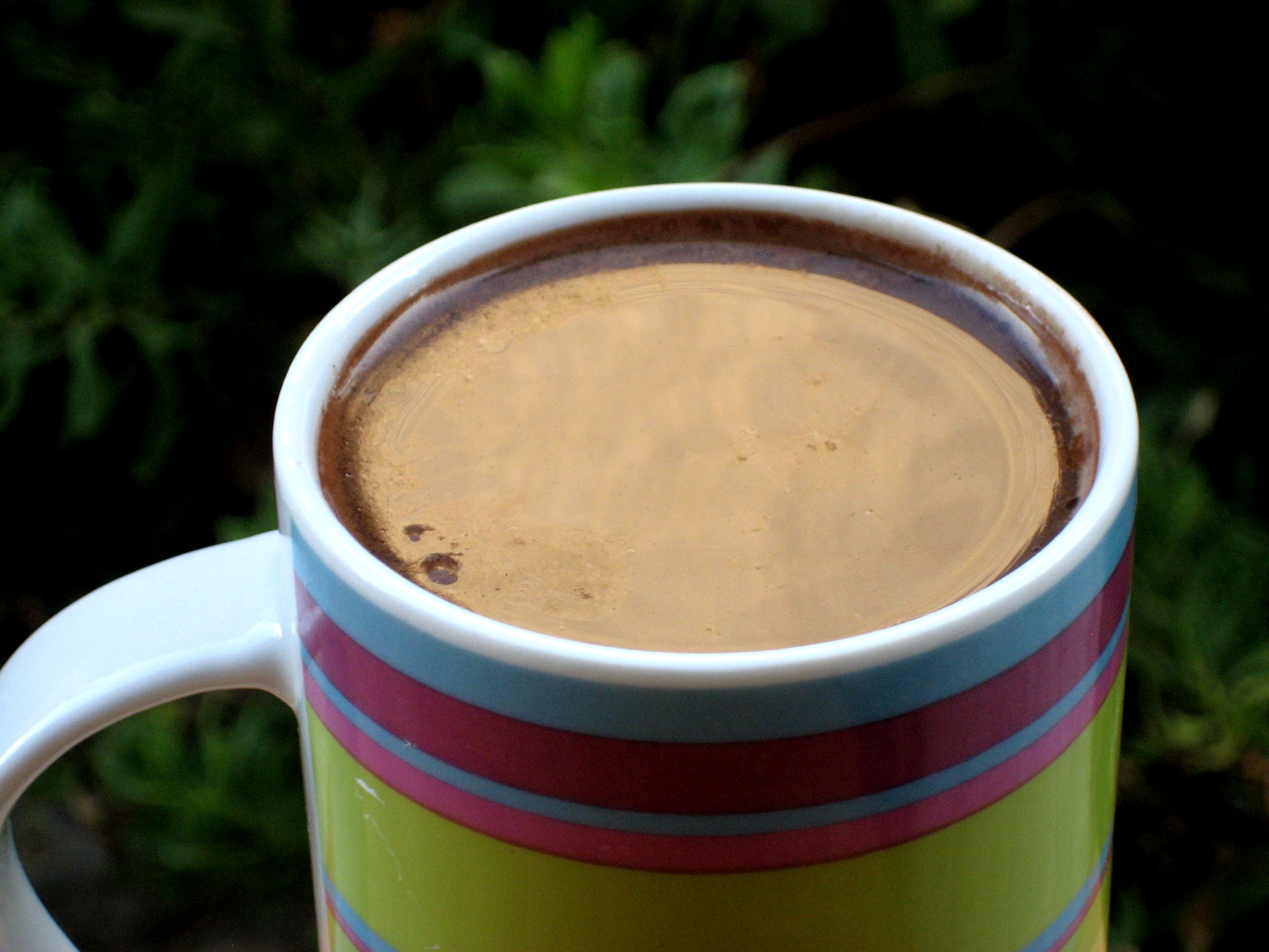 STEAMING MOCHA COCOA