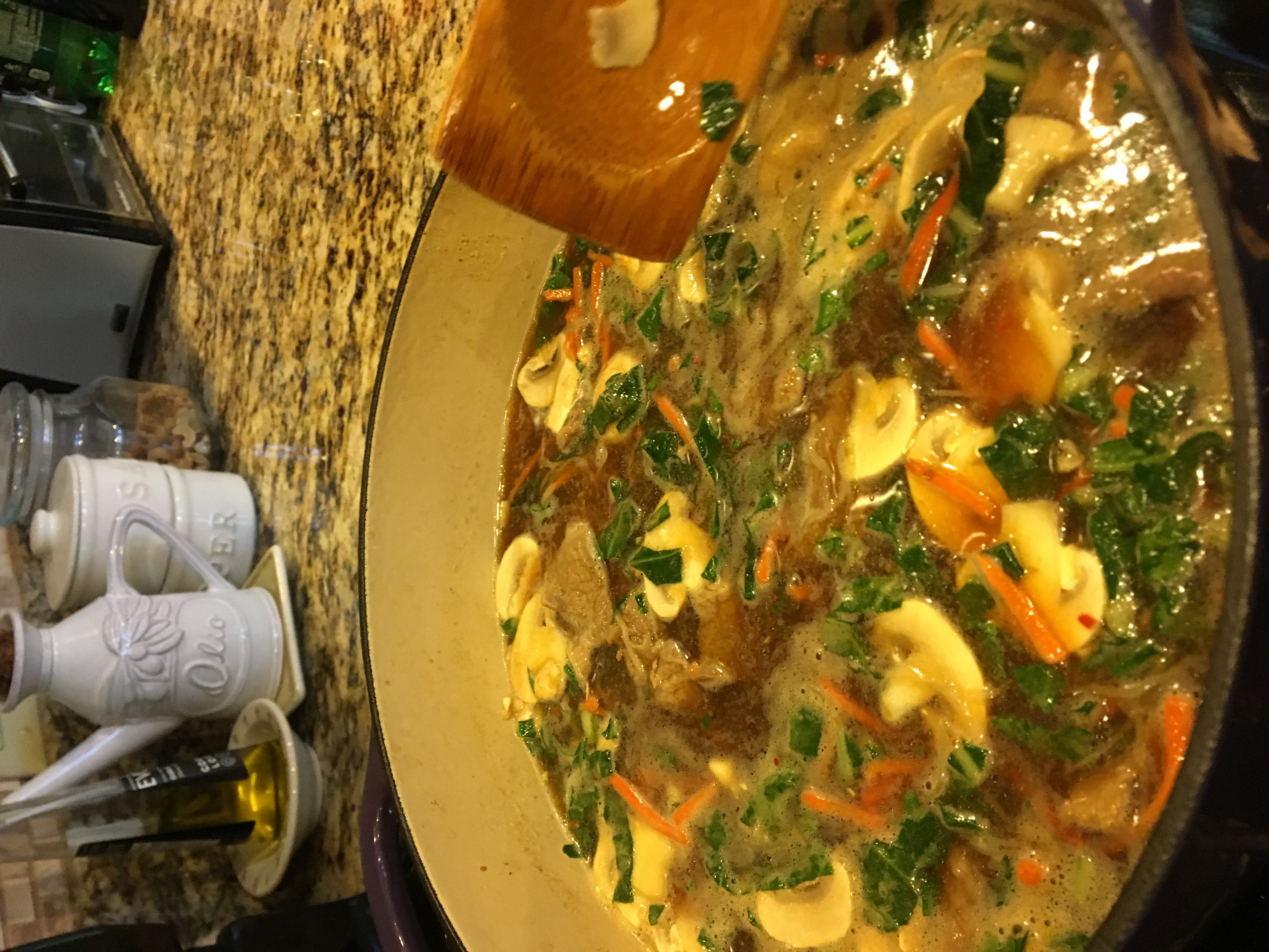 ℬ Recipe ASIAN BEEF NOODLE SOUP